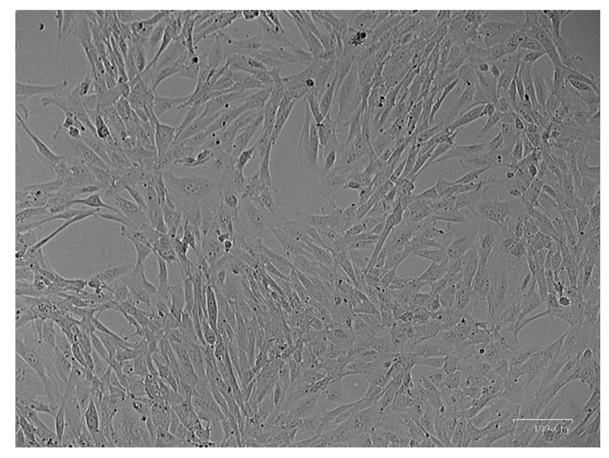 Pharmaceutics 13 00696 g001