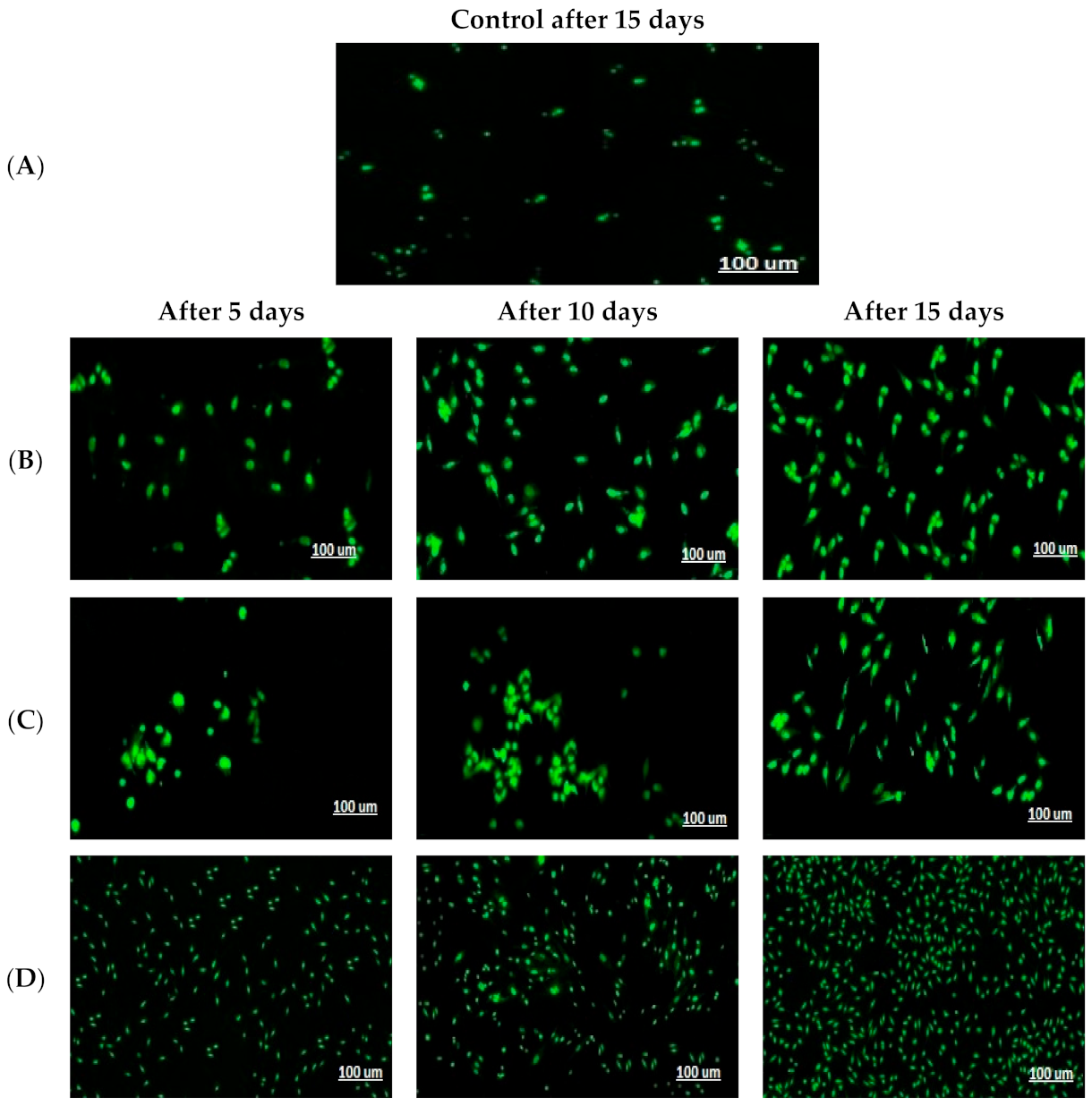 Pharmaceutics 13 00700 g006