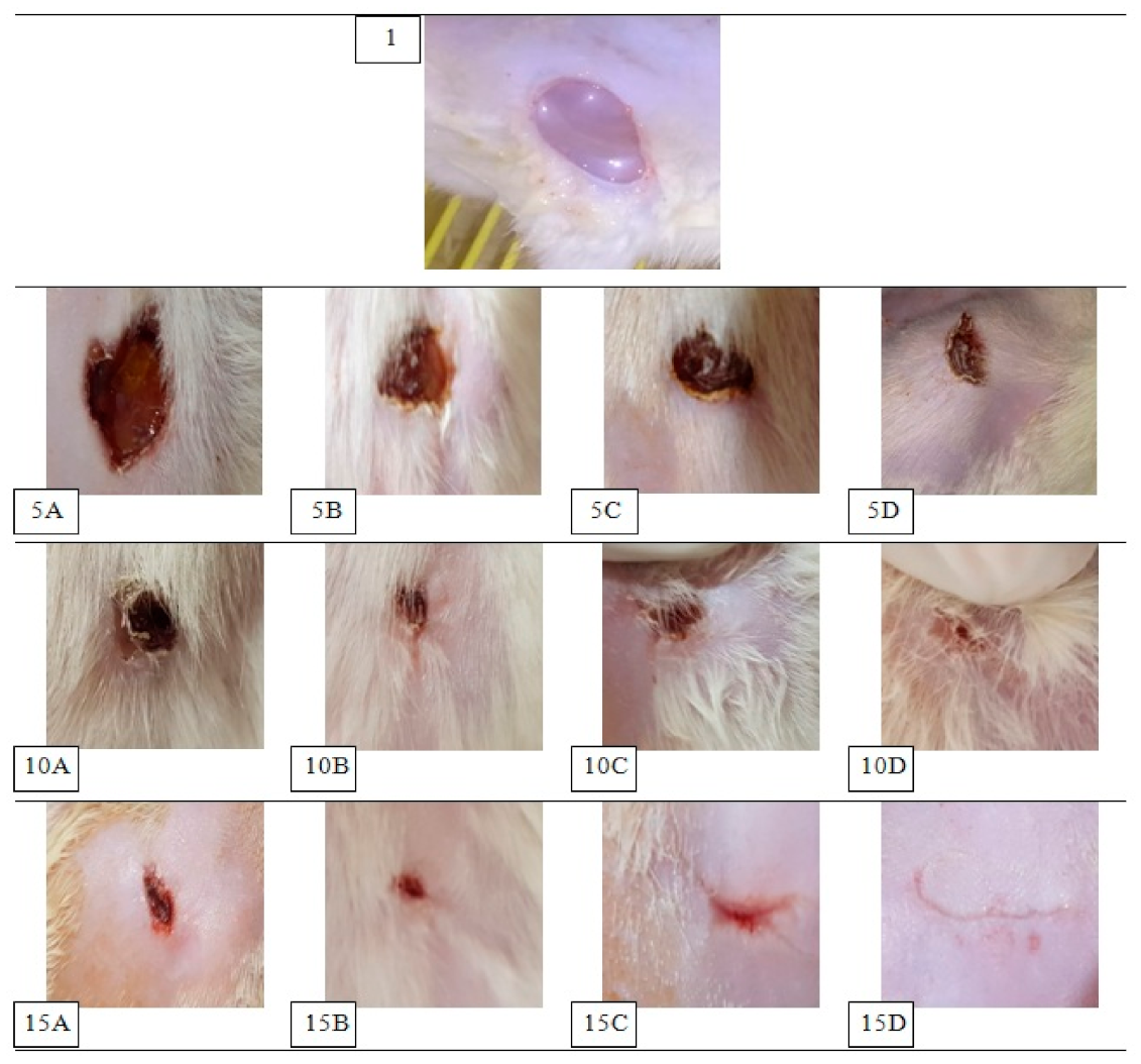 Pharmaceutics 13 00700 g008