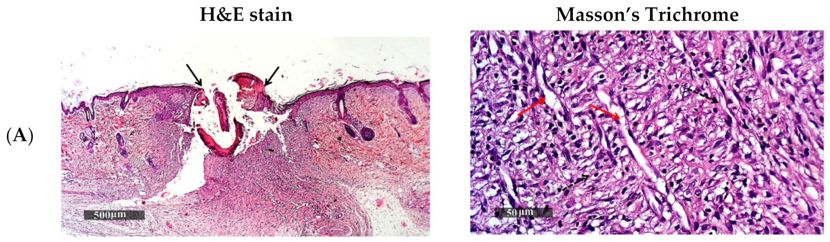 Pharmaceutics 13 00700 g010a