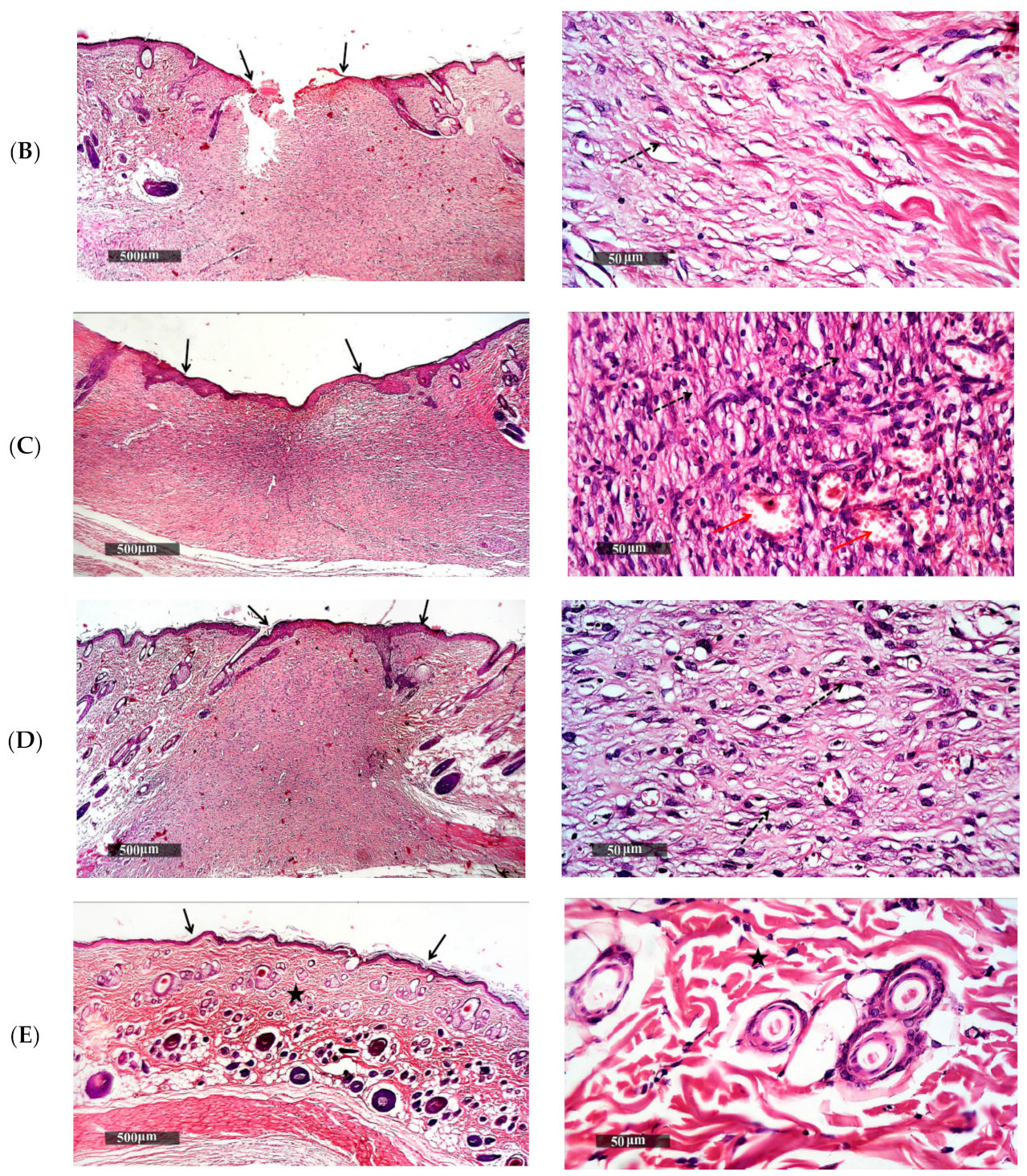Pharmaceutics 13 00700 g010b