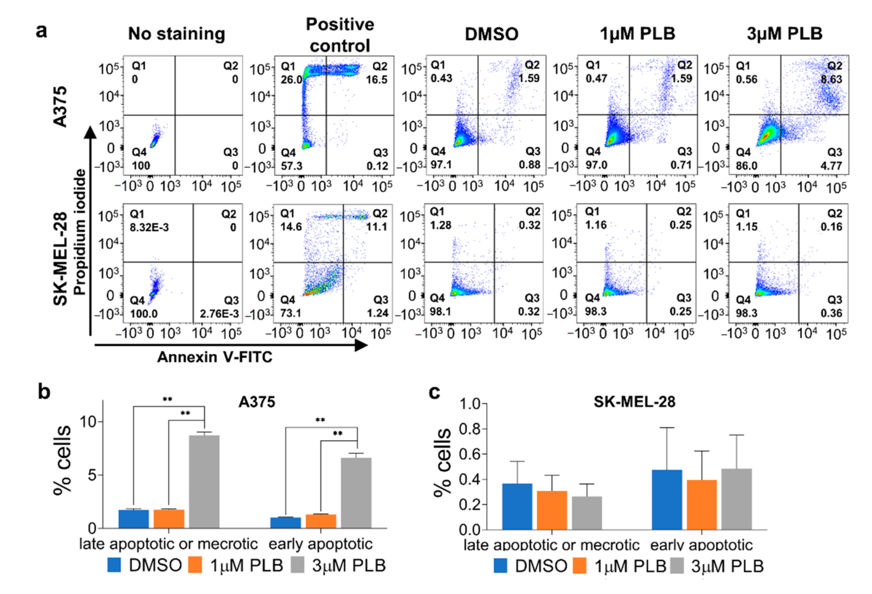 Pharmaceutics 13 00706 g004