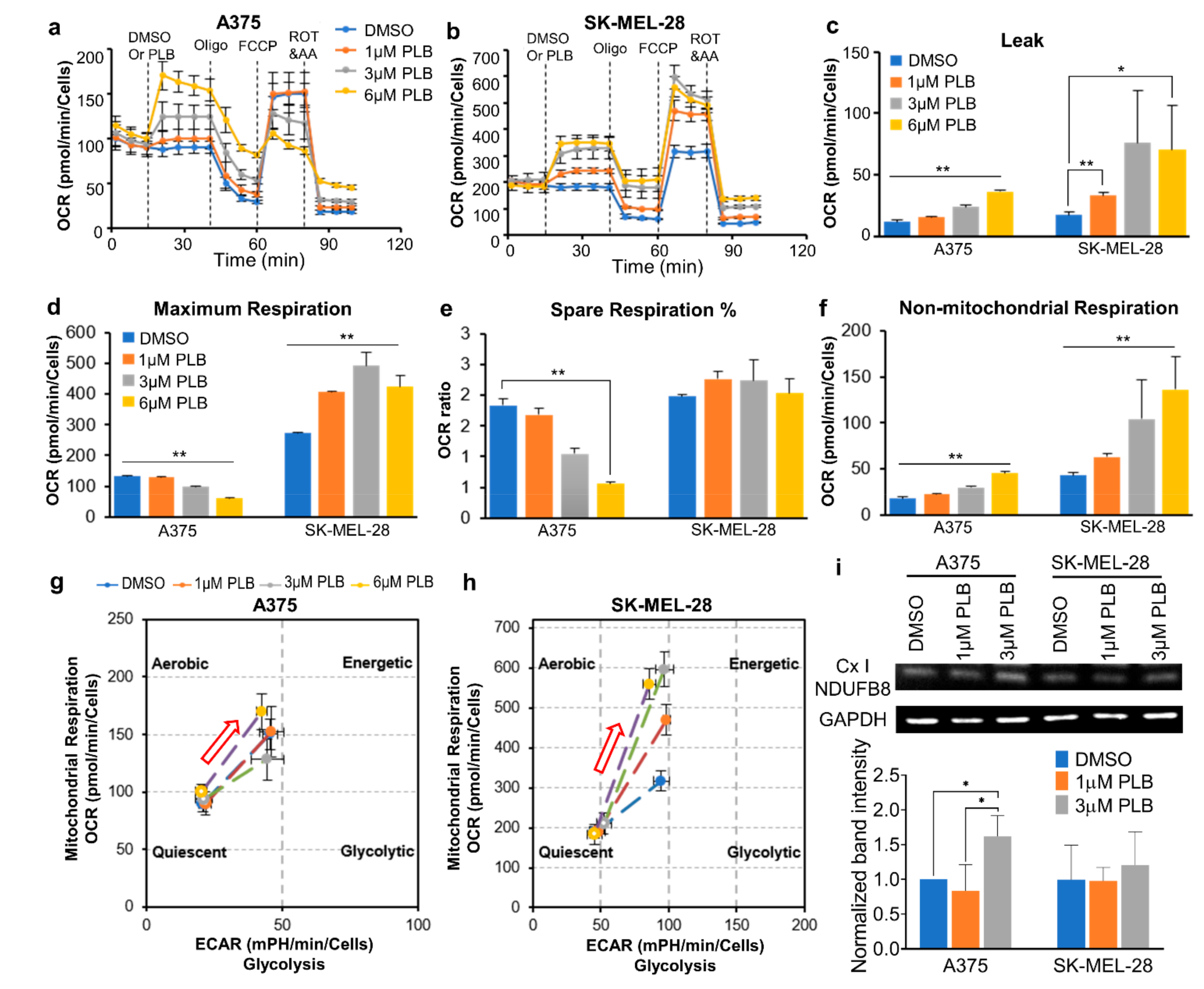 Pharmaceutics 13 00706 g005