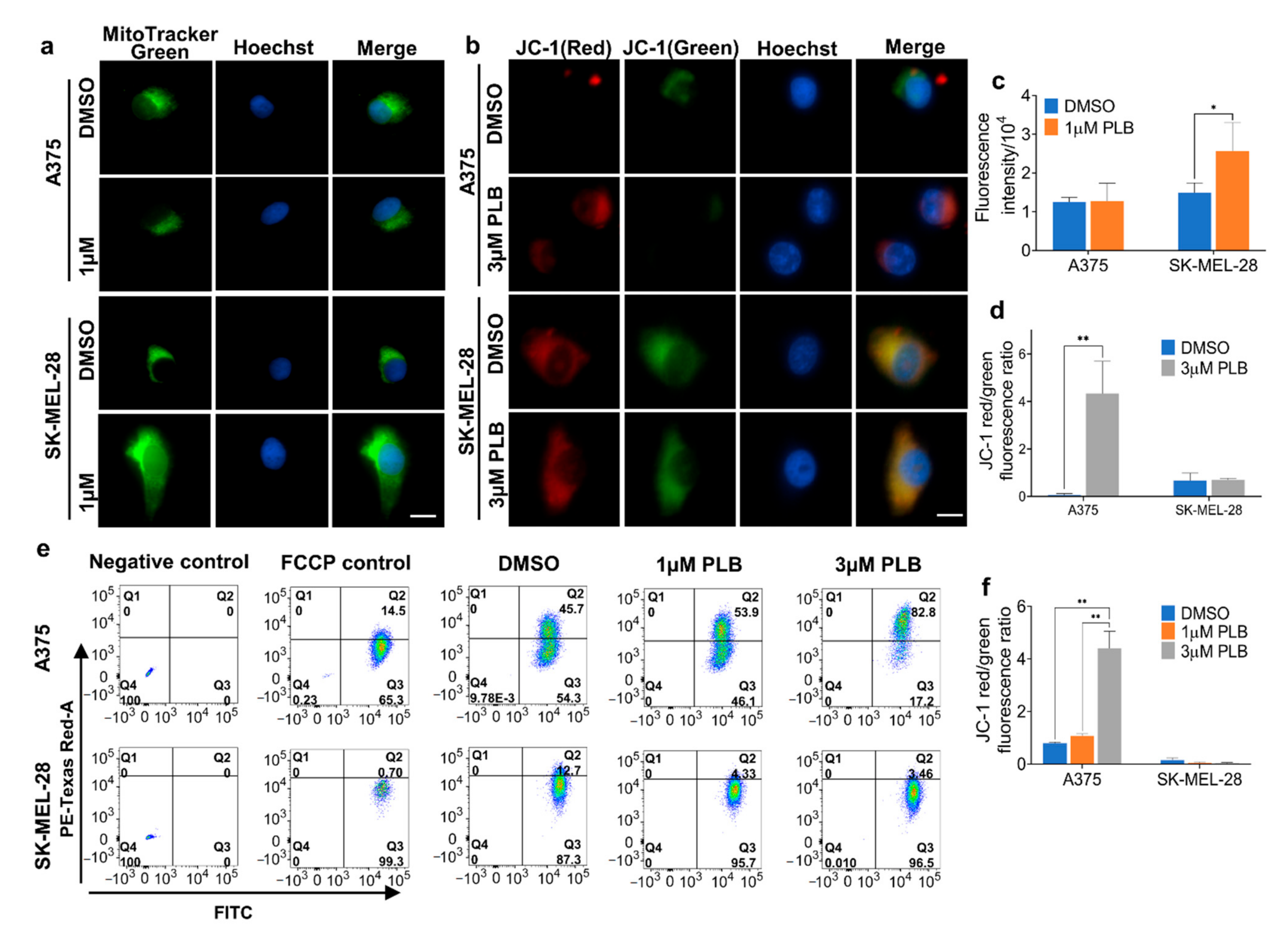 Pharmaceutics 13 00706 g007
