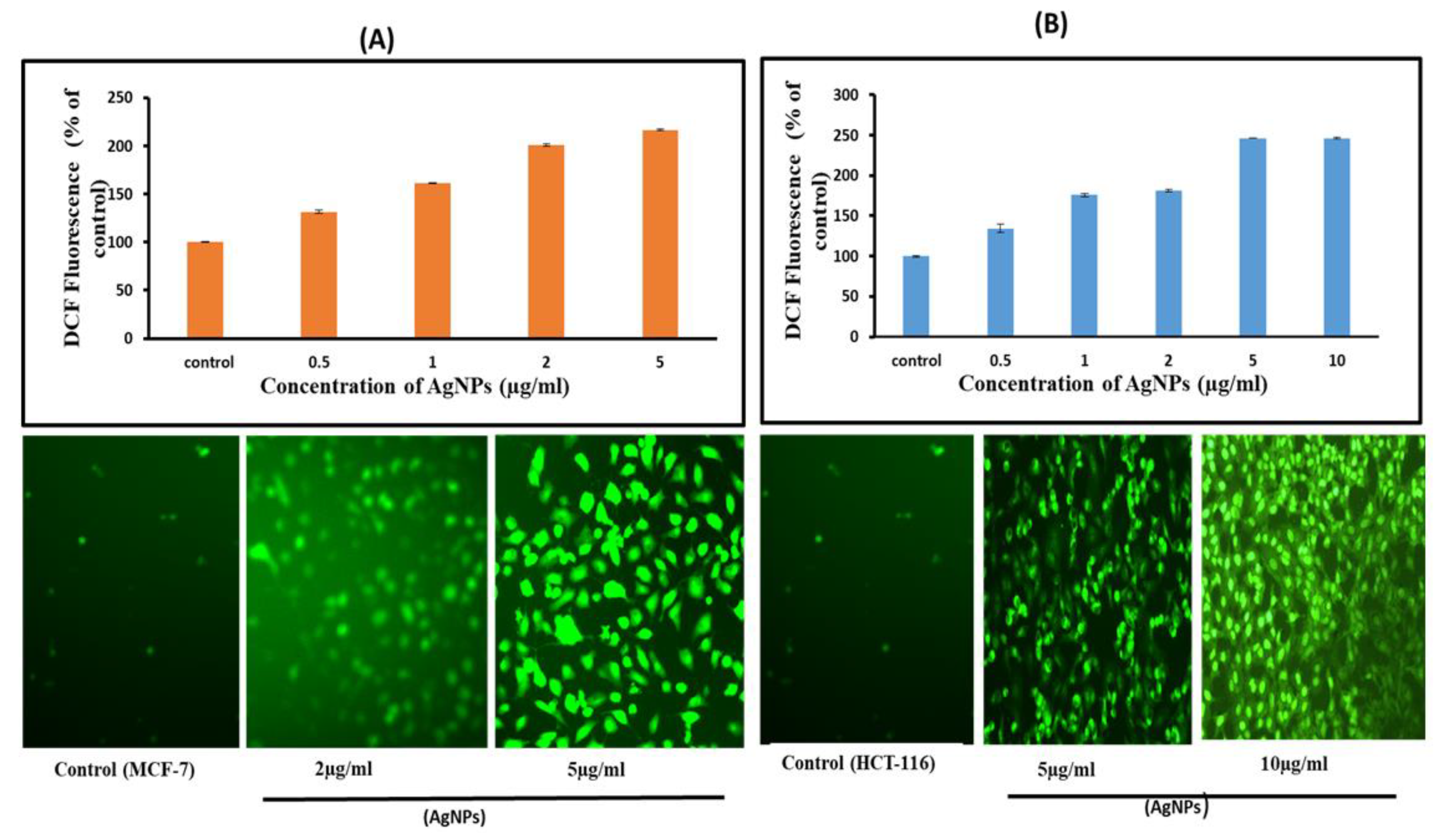 Pharmaceutics 13 00707 g007