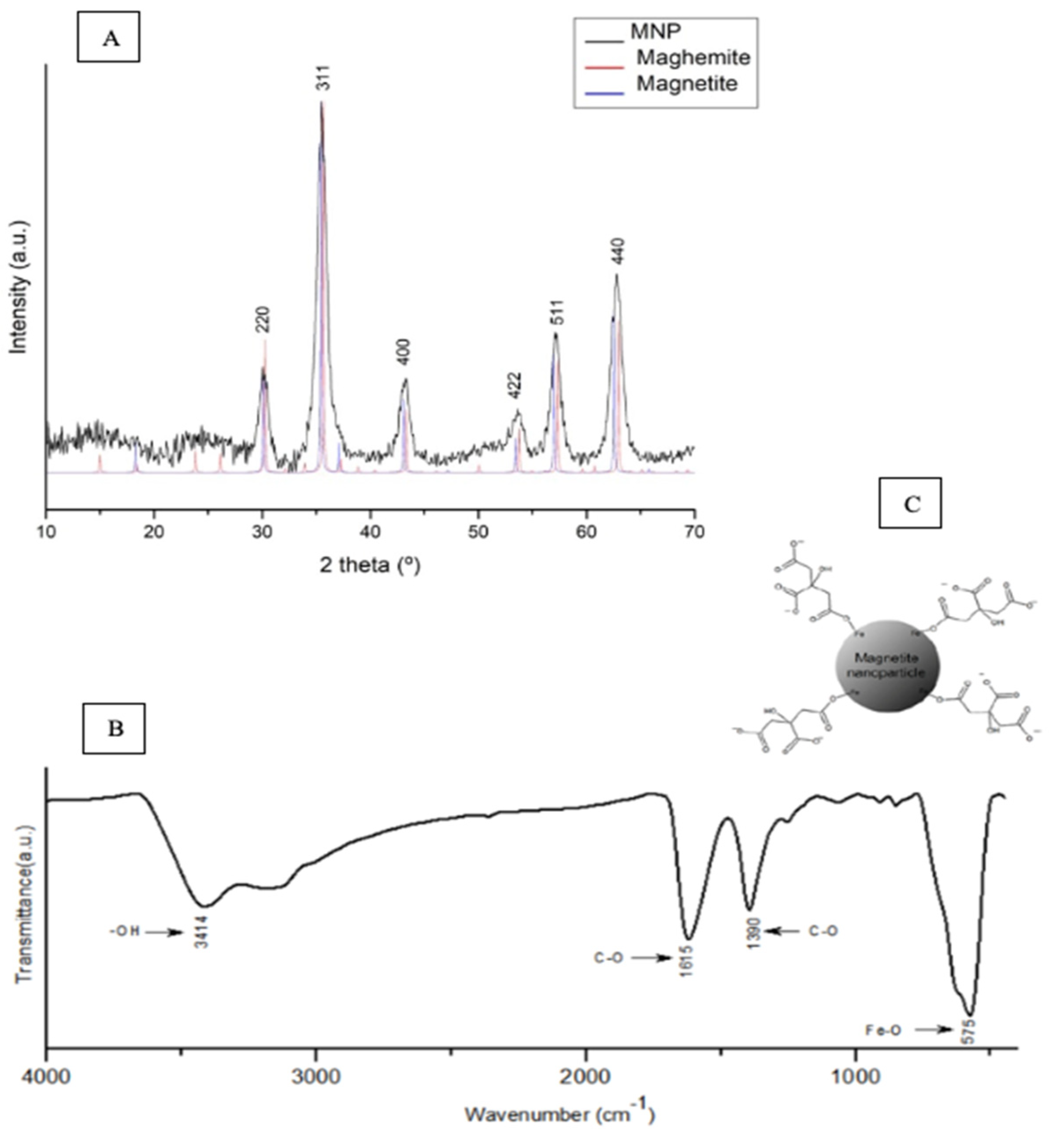 Pharmaceutics 13 00712 g001