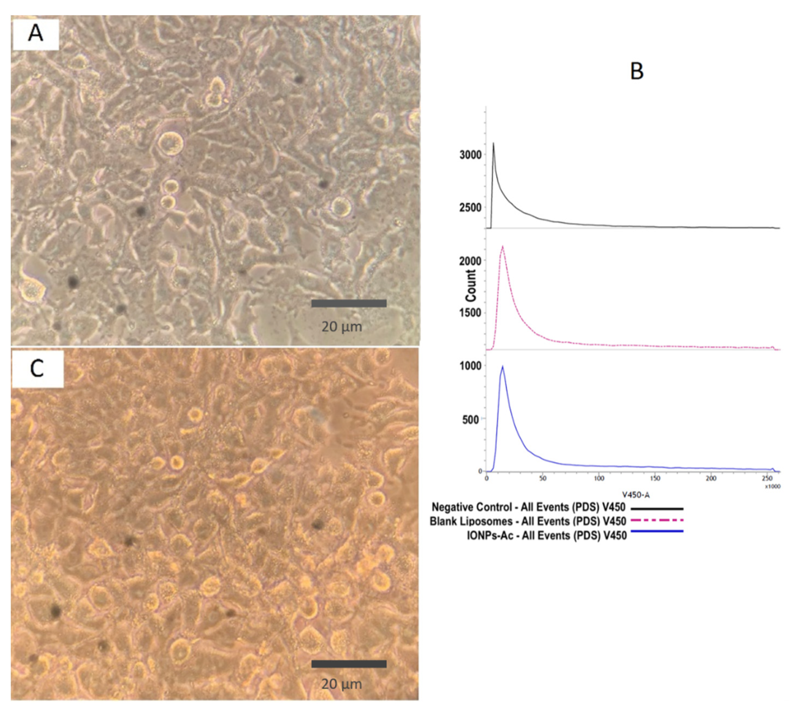 Pharmaceutics 13 00712 g003