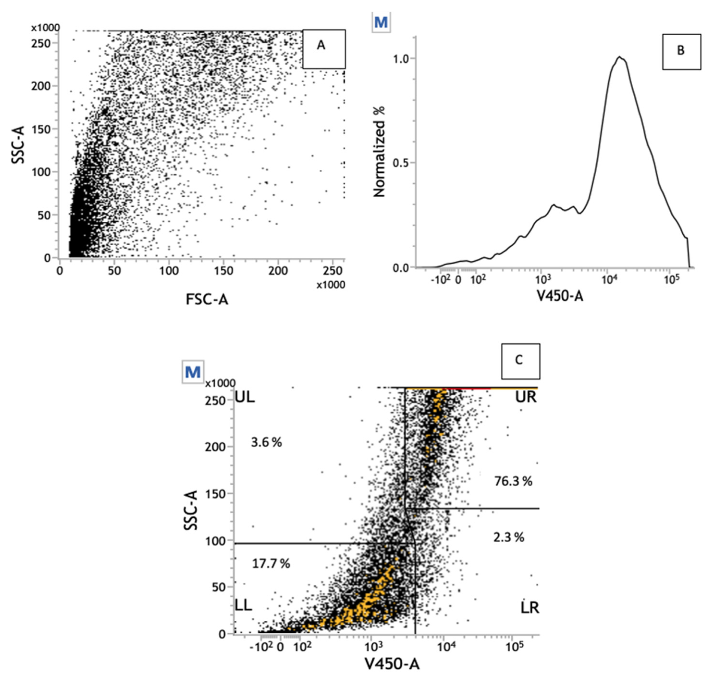 Pharmaceutics 13 00712 g004