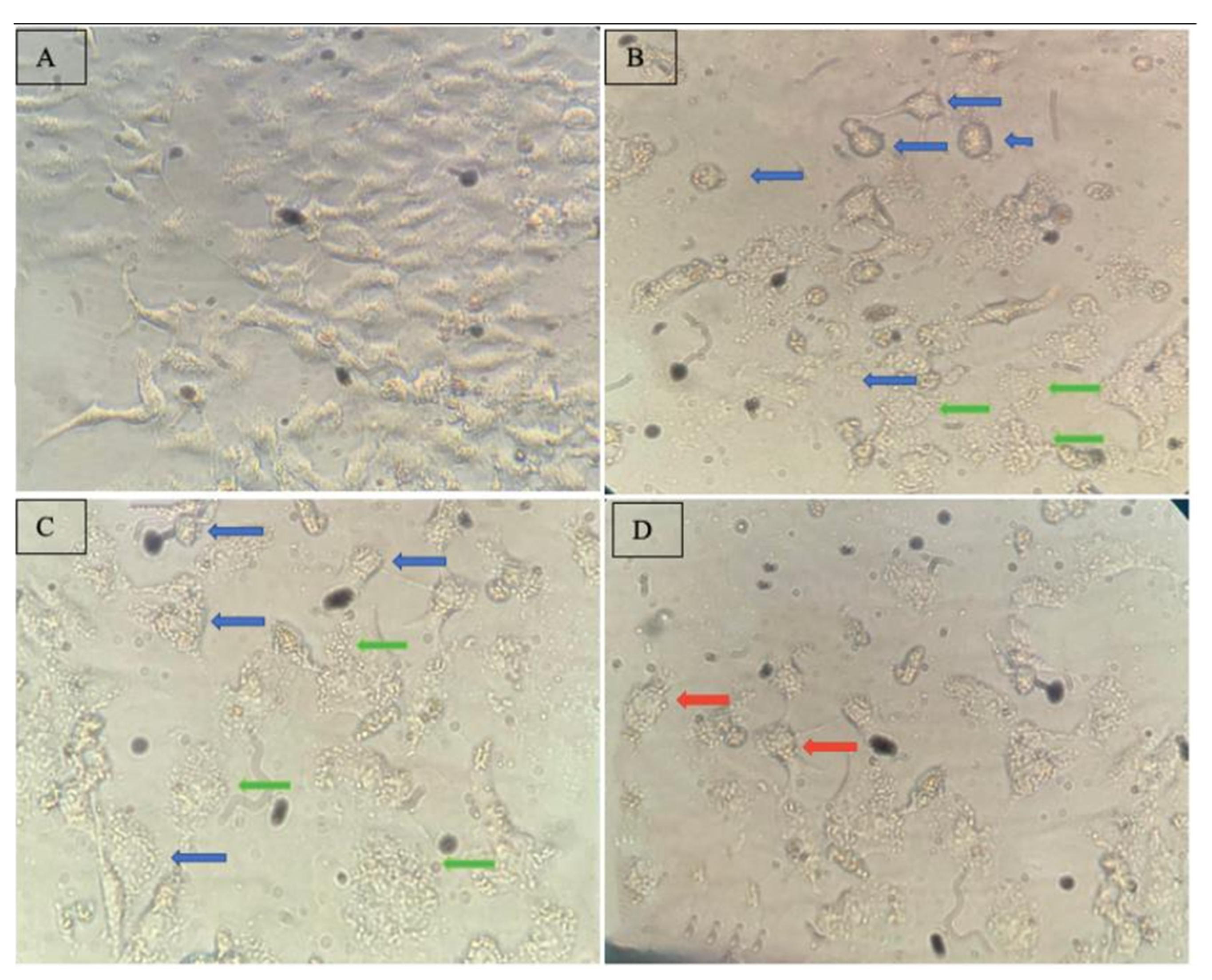 Pharmaceutics 13 00712 g005