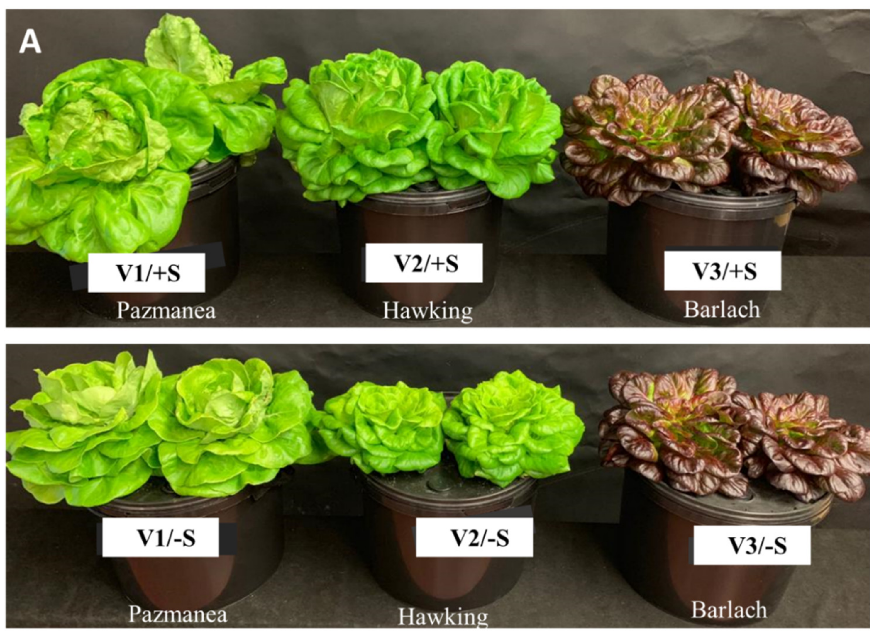 Pharmaceutics 13 00713 g001a