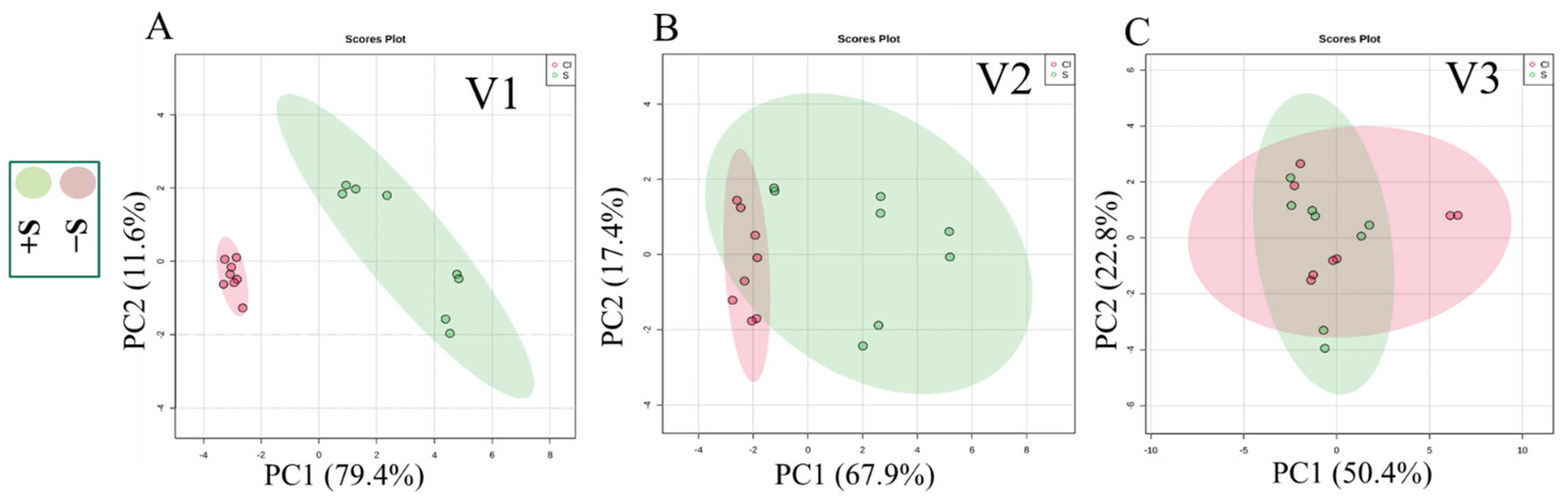Pharmaceutics 13 00713 g003