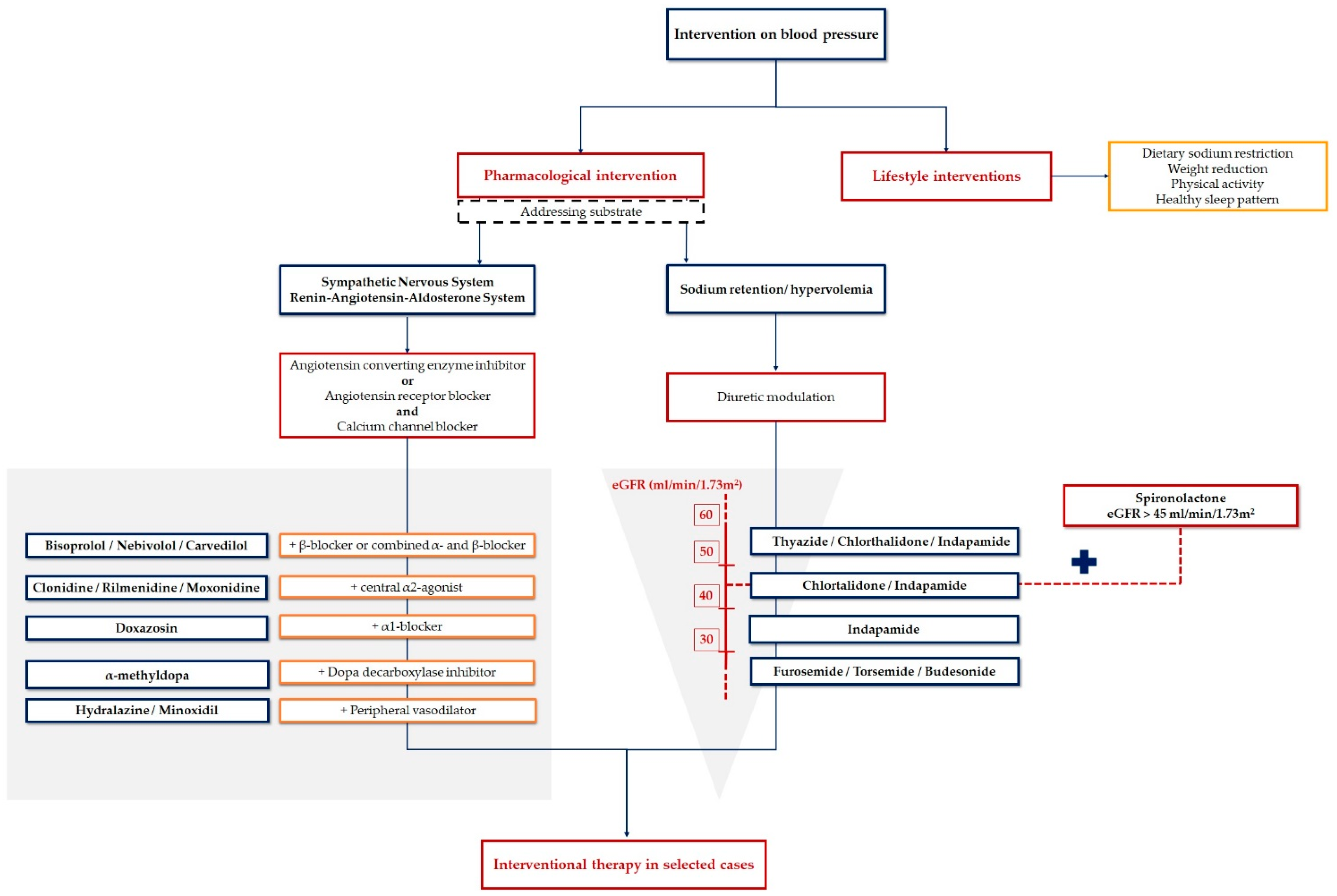 Pharmaceutics 13 00714 g003