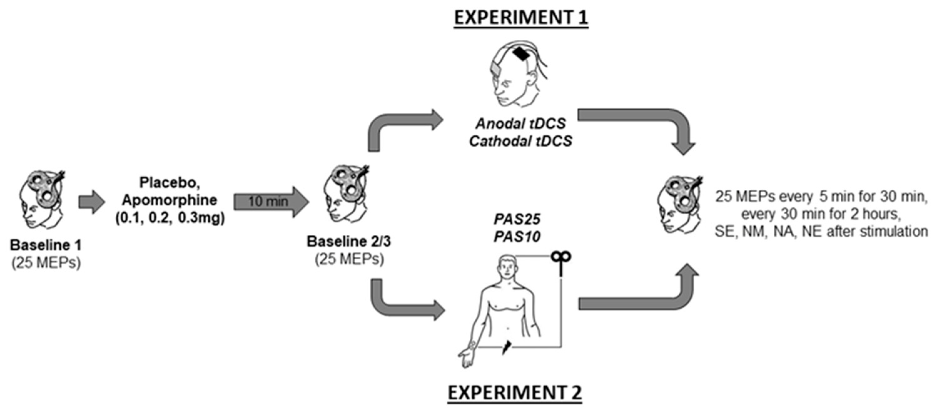Pharmaceutics 13 00718 g001