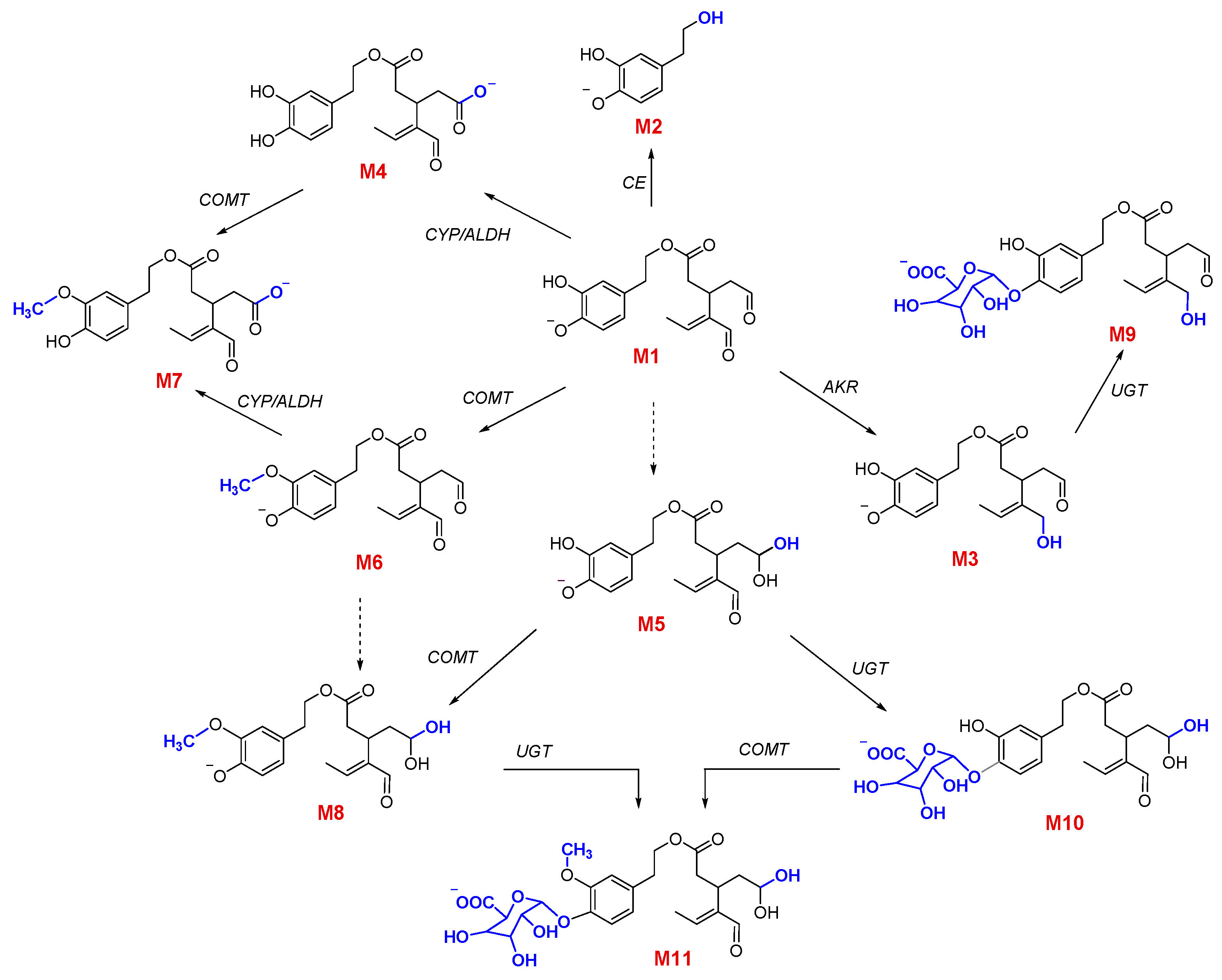 Pharmaceutics 13 00719 g002
