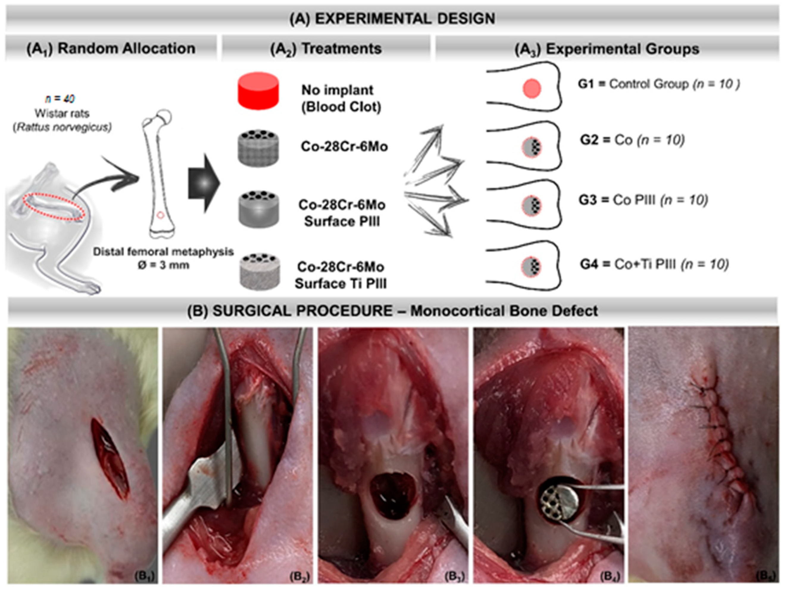 Pharmaceutics 13 00724 g001
