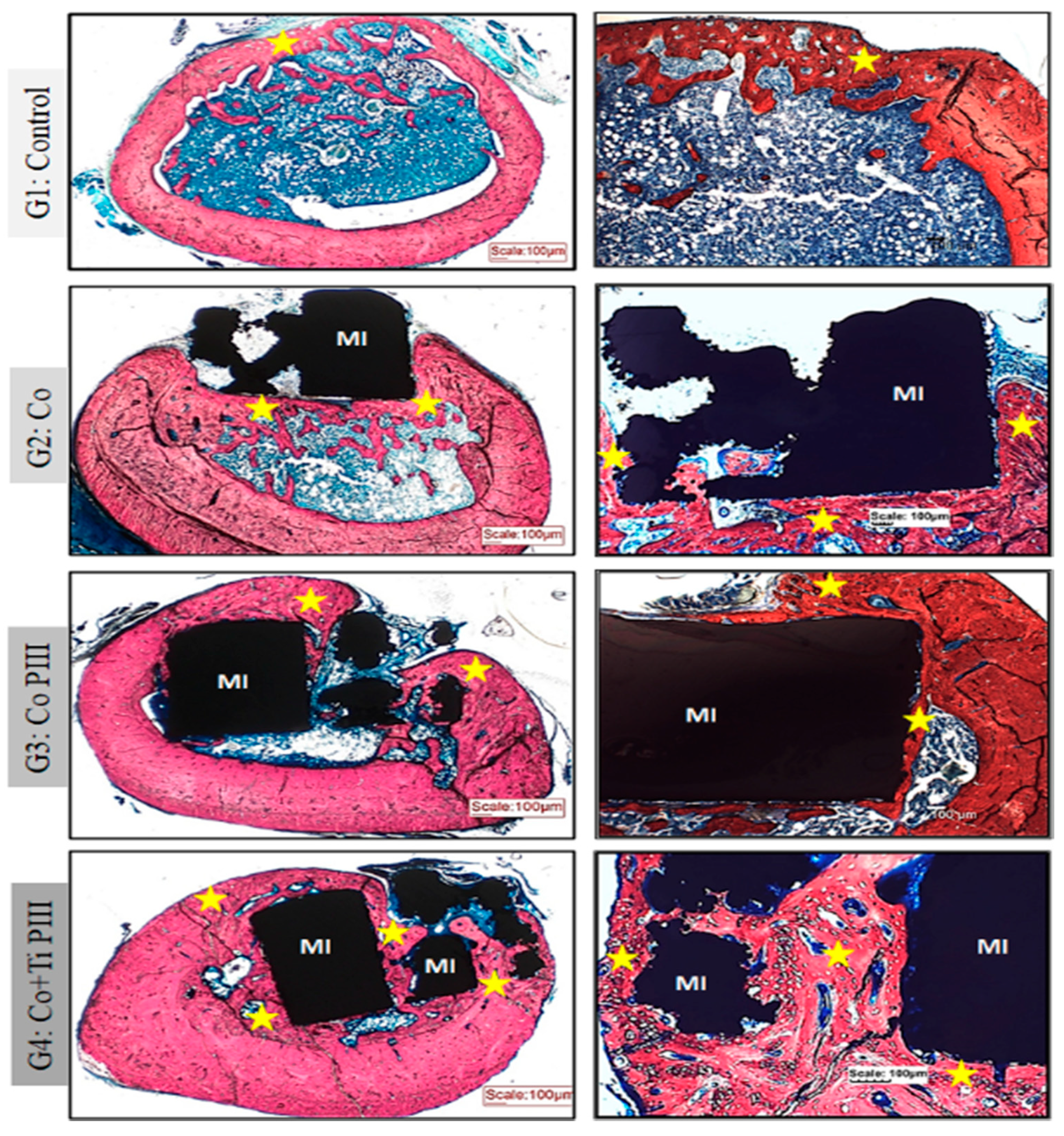 Pharmaceutics 13 00724 g005
