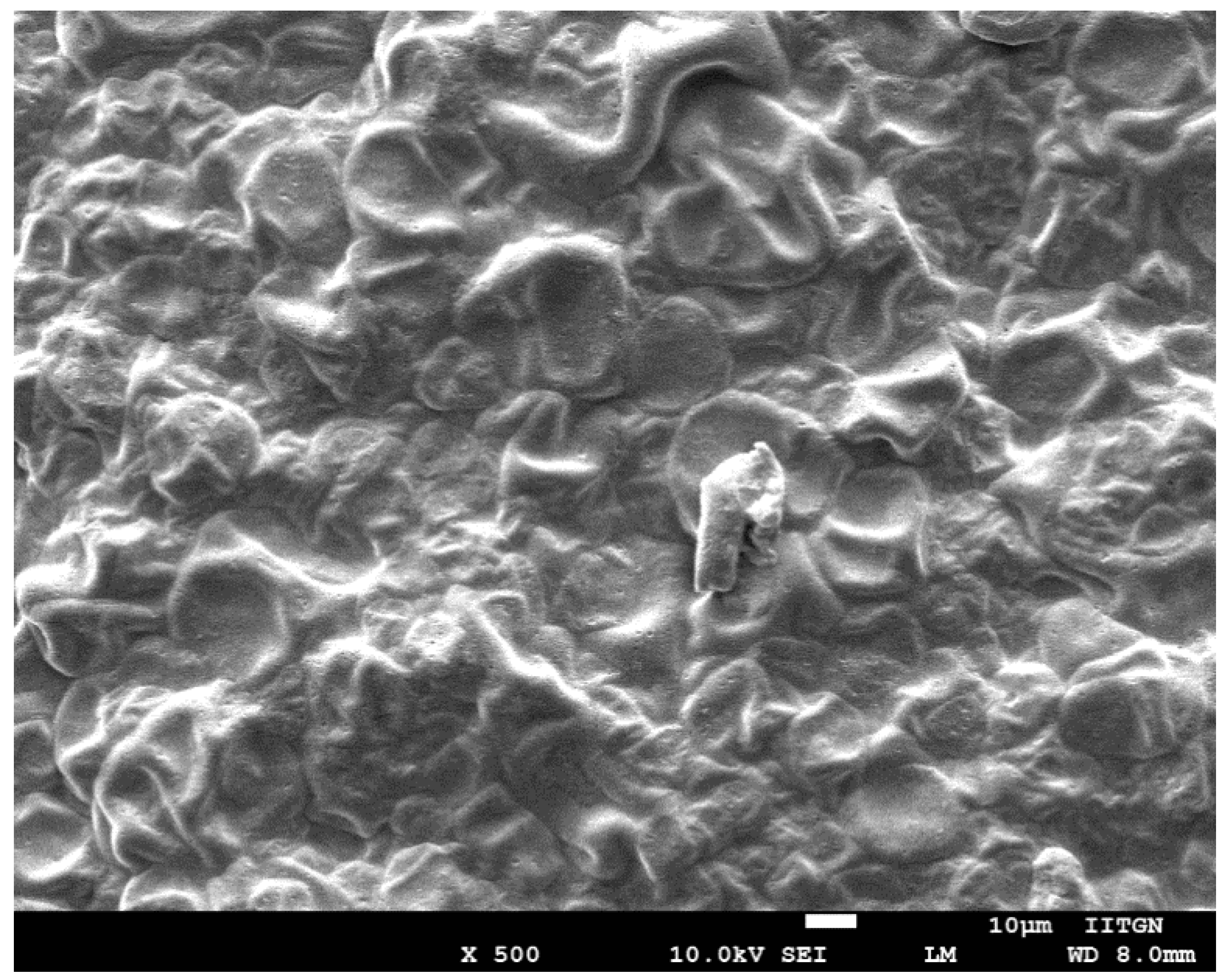 Pharmaceutics 13 00728 g004