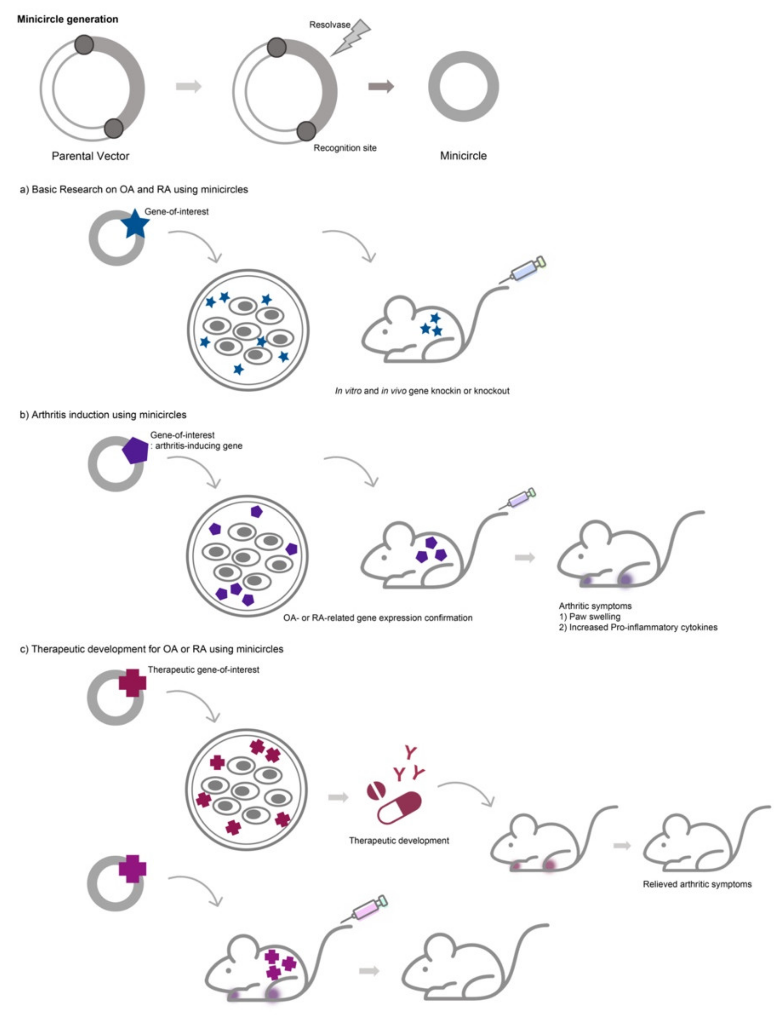 Pharmaceutics 13 00736 g001
