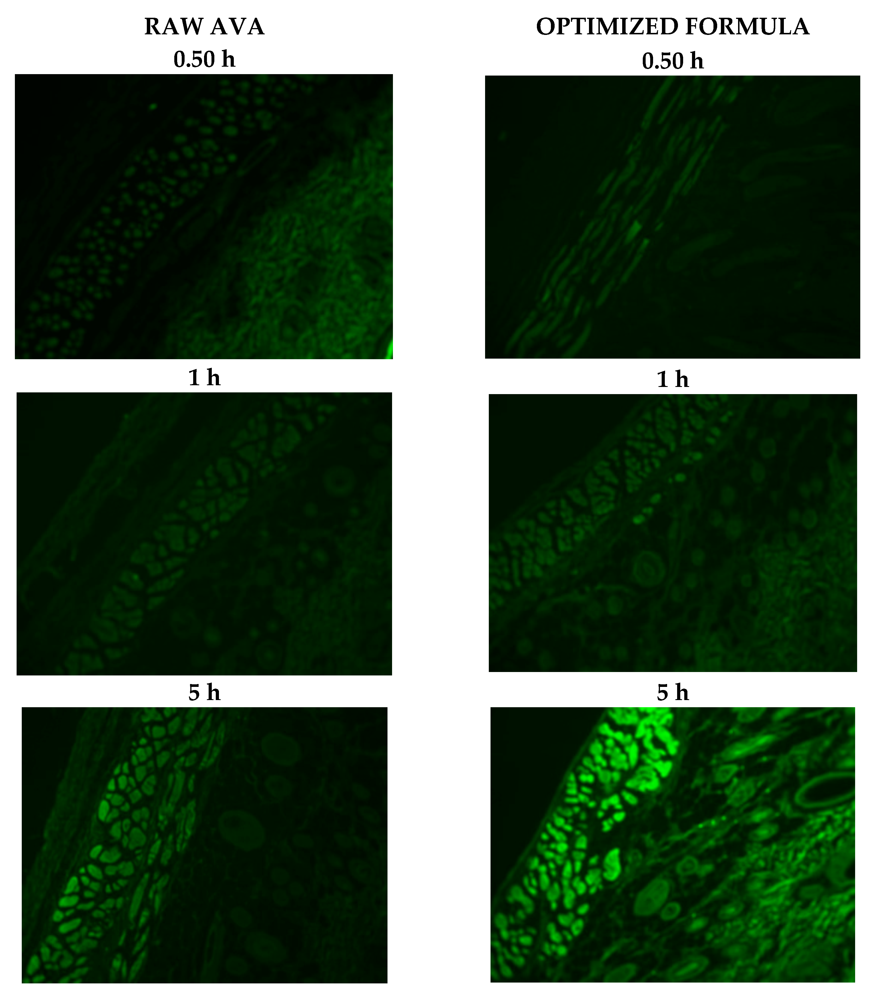 Pharmaceutics 13 00739 g004