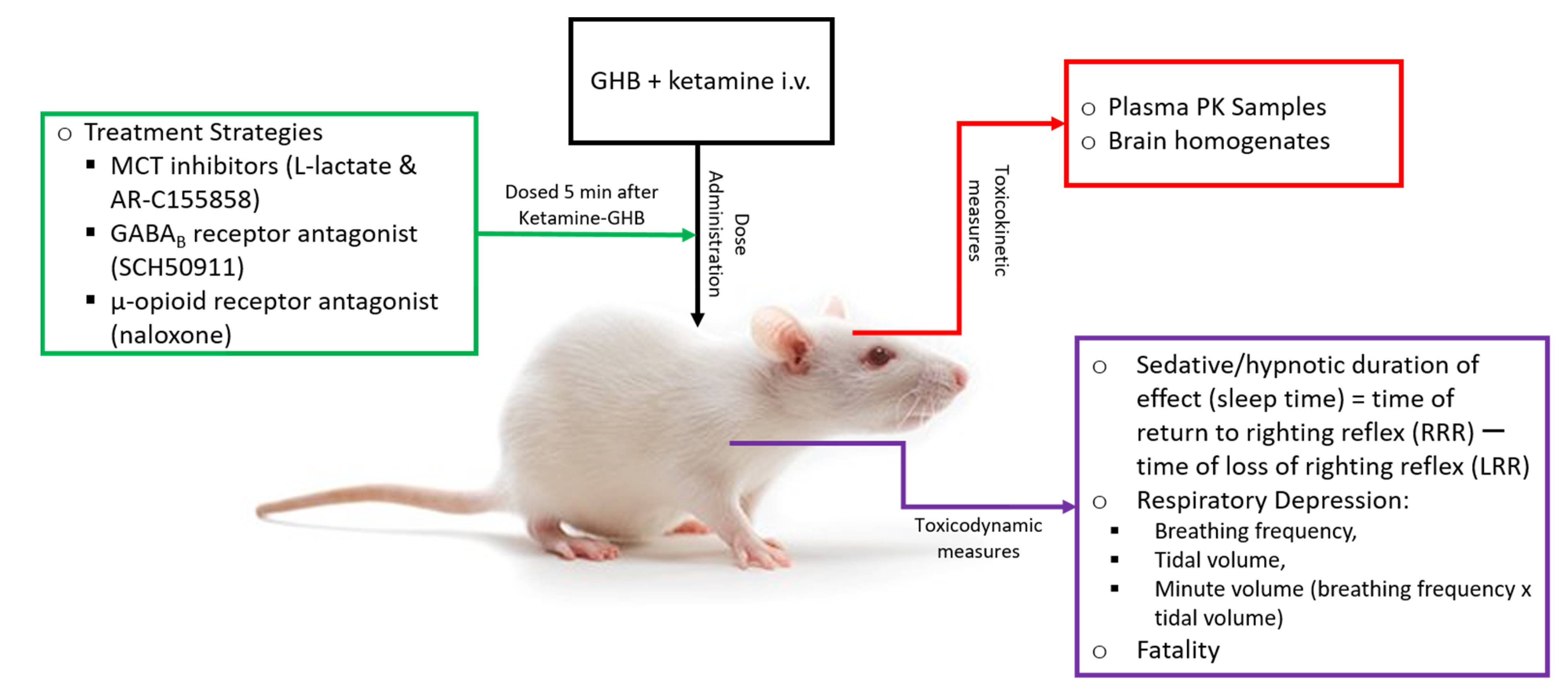 Pharmaceutics 13 00741 g001