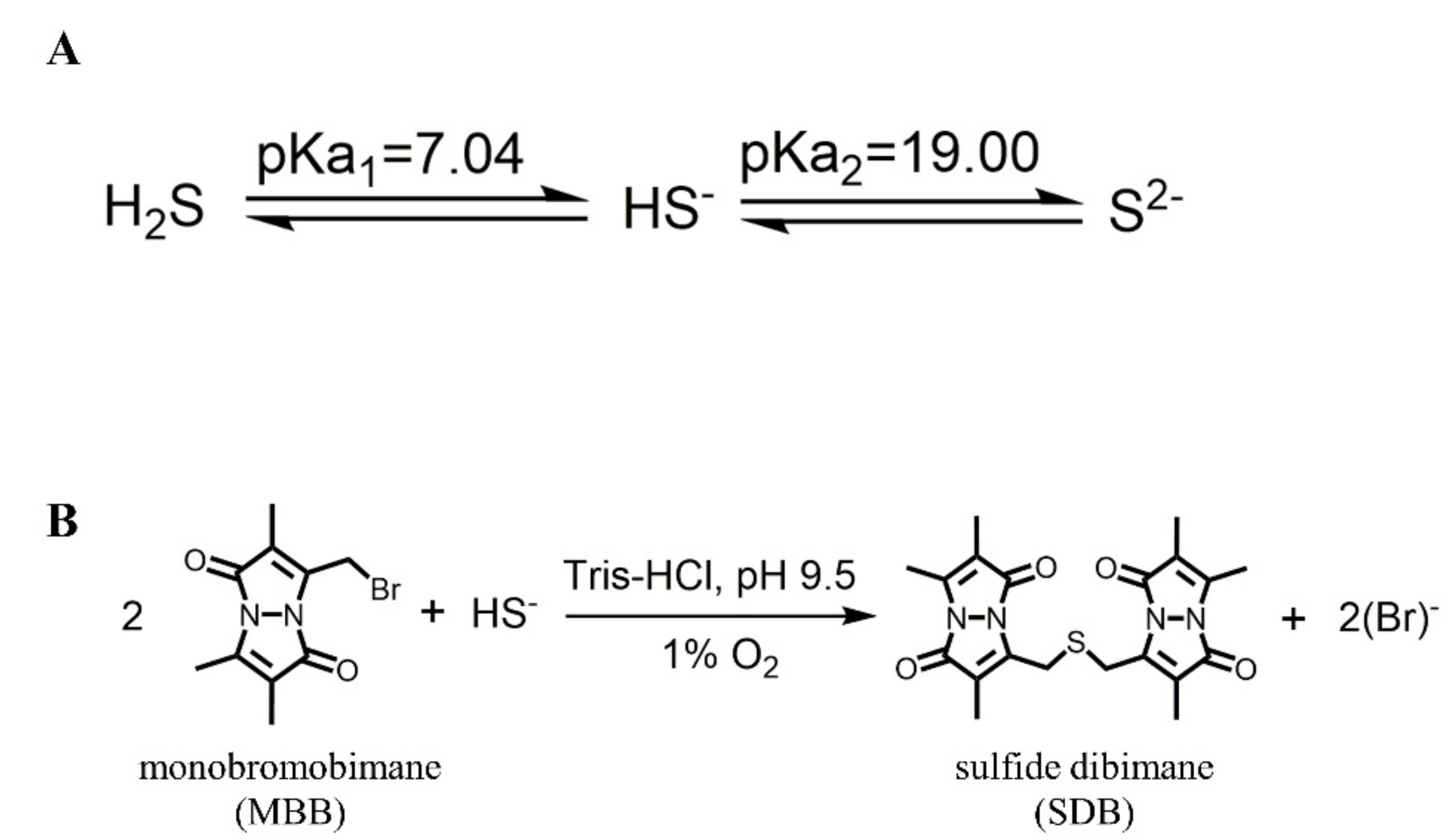 Pharmaceutics 13 00742 g002