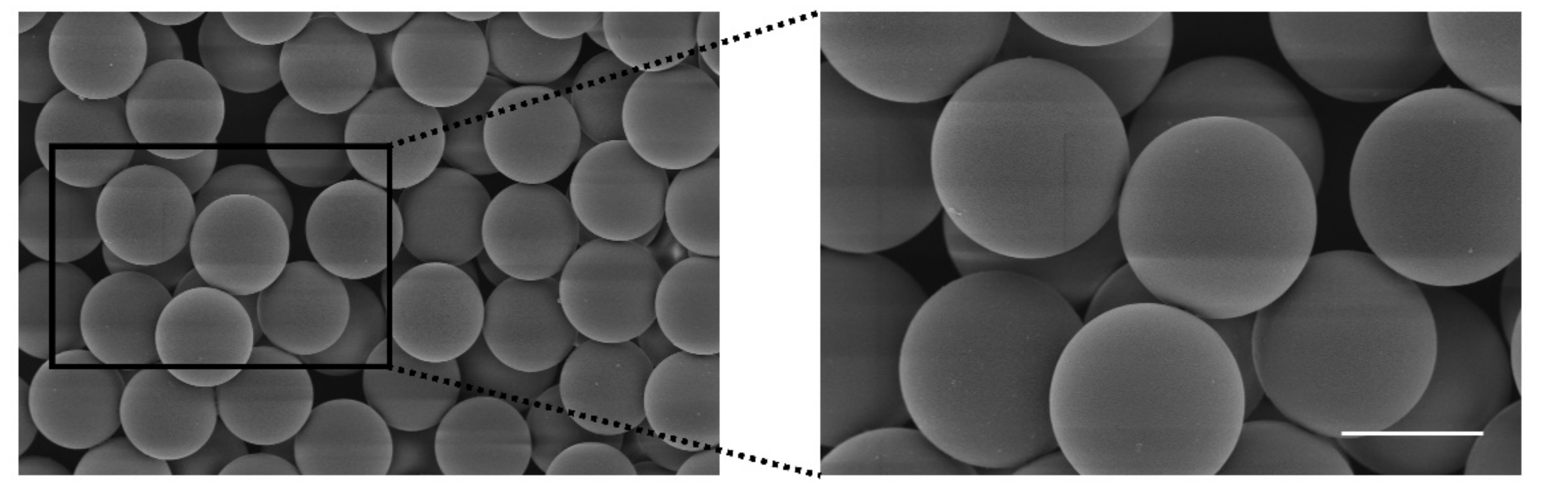 Pharmaceutics 13 00742 g004
