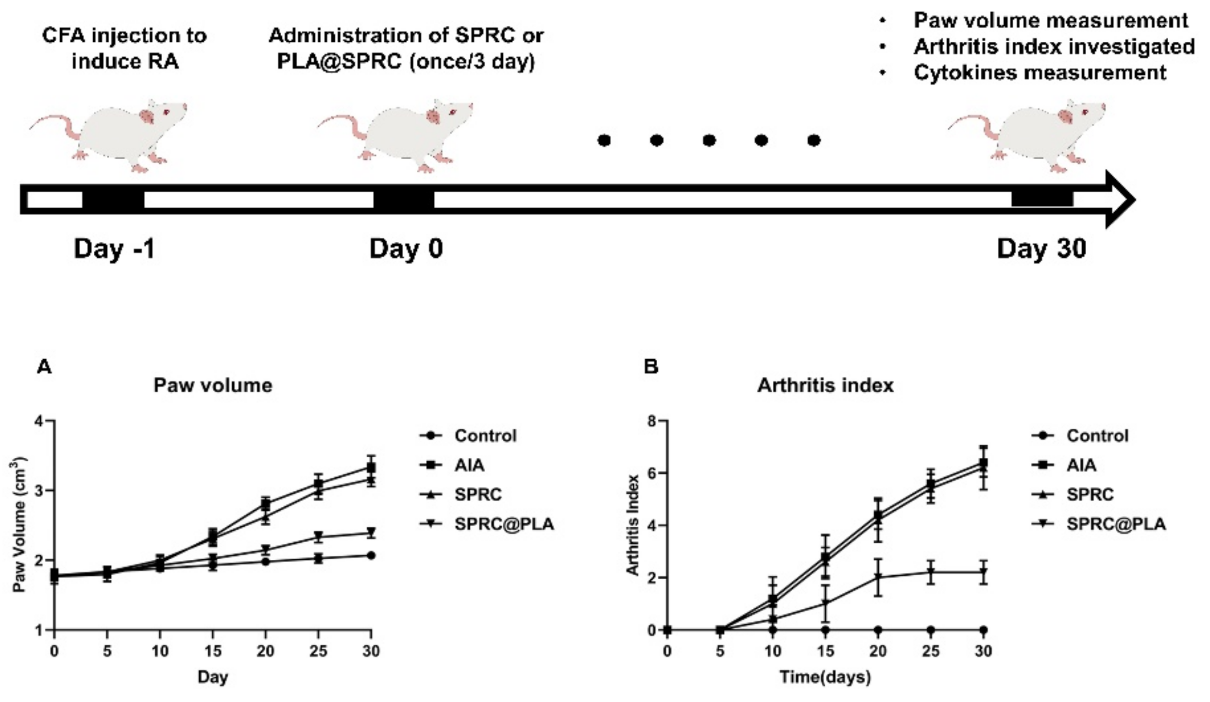 Pharmaceutics 13 00742 g007