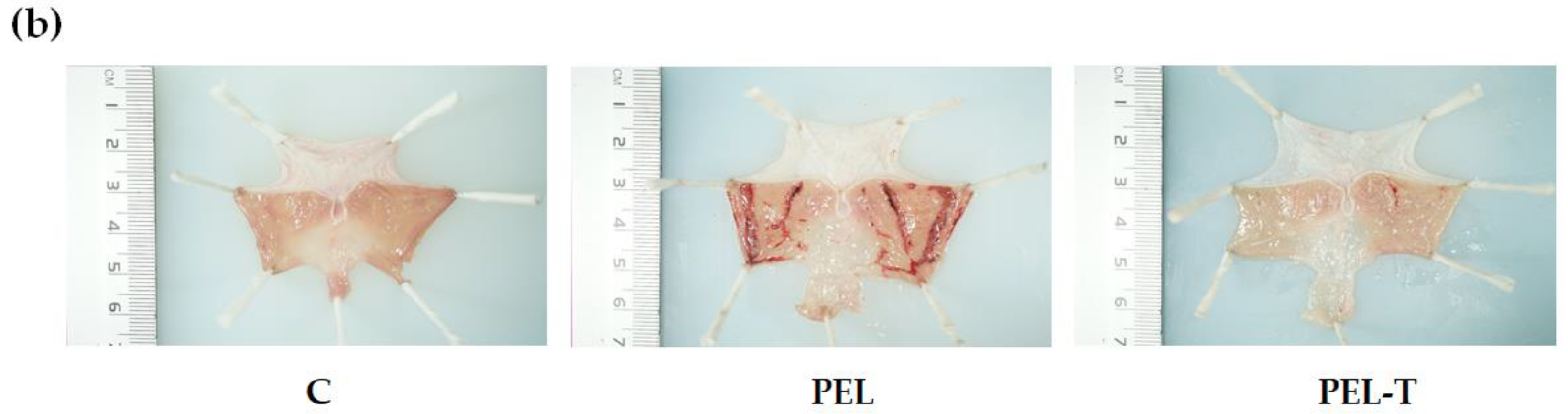 Pharmaceutics 13 00745 g003b