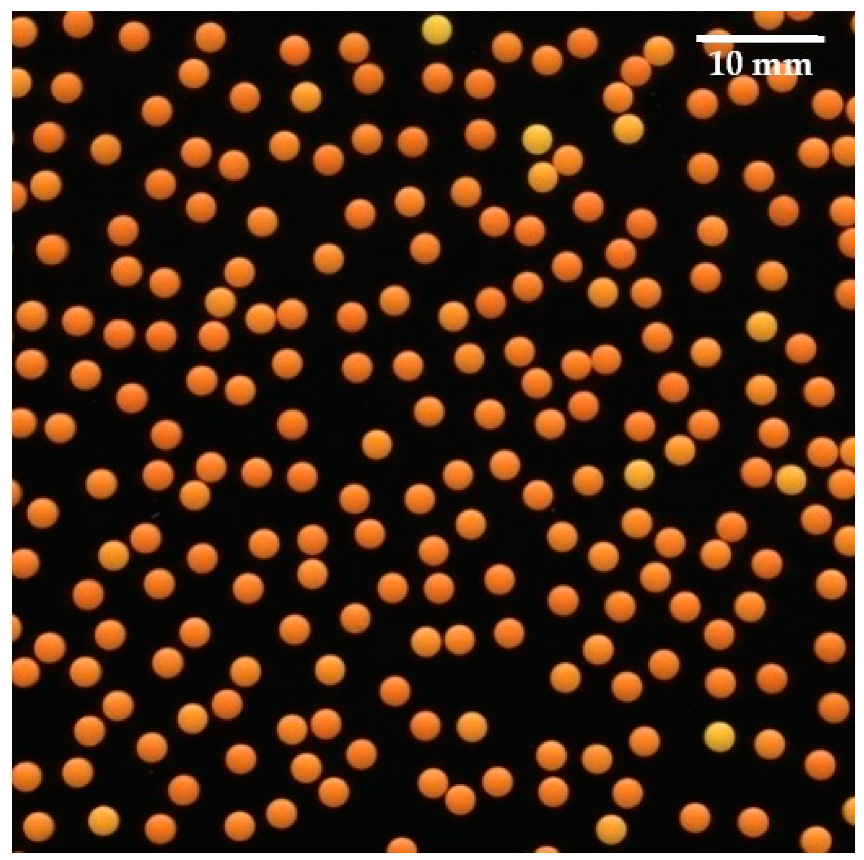 Pharmaceutics 13 00746 g002