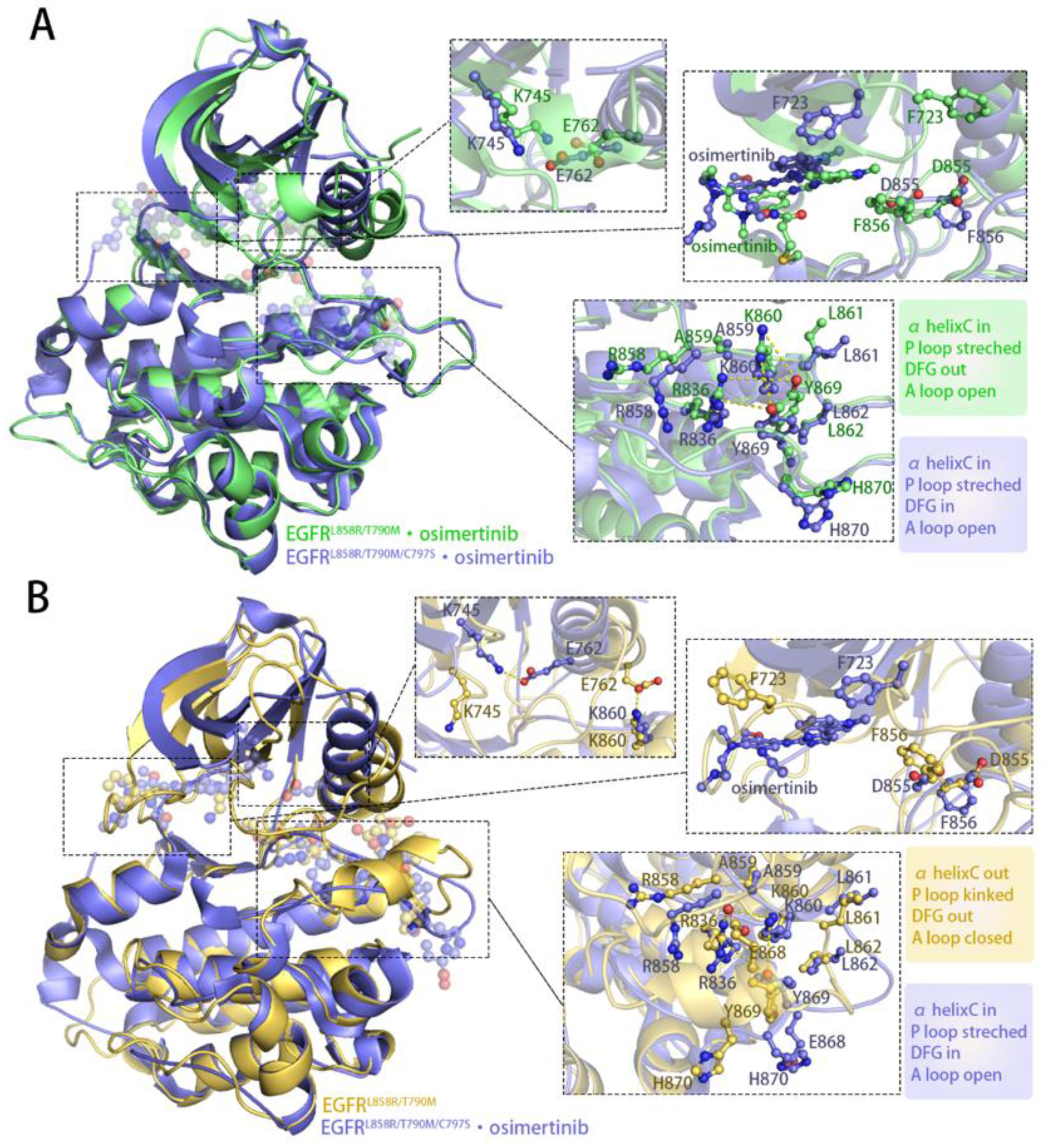 Pharmaceutics 13 00747 g005