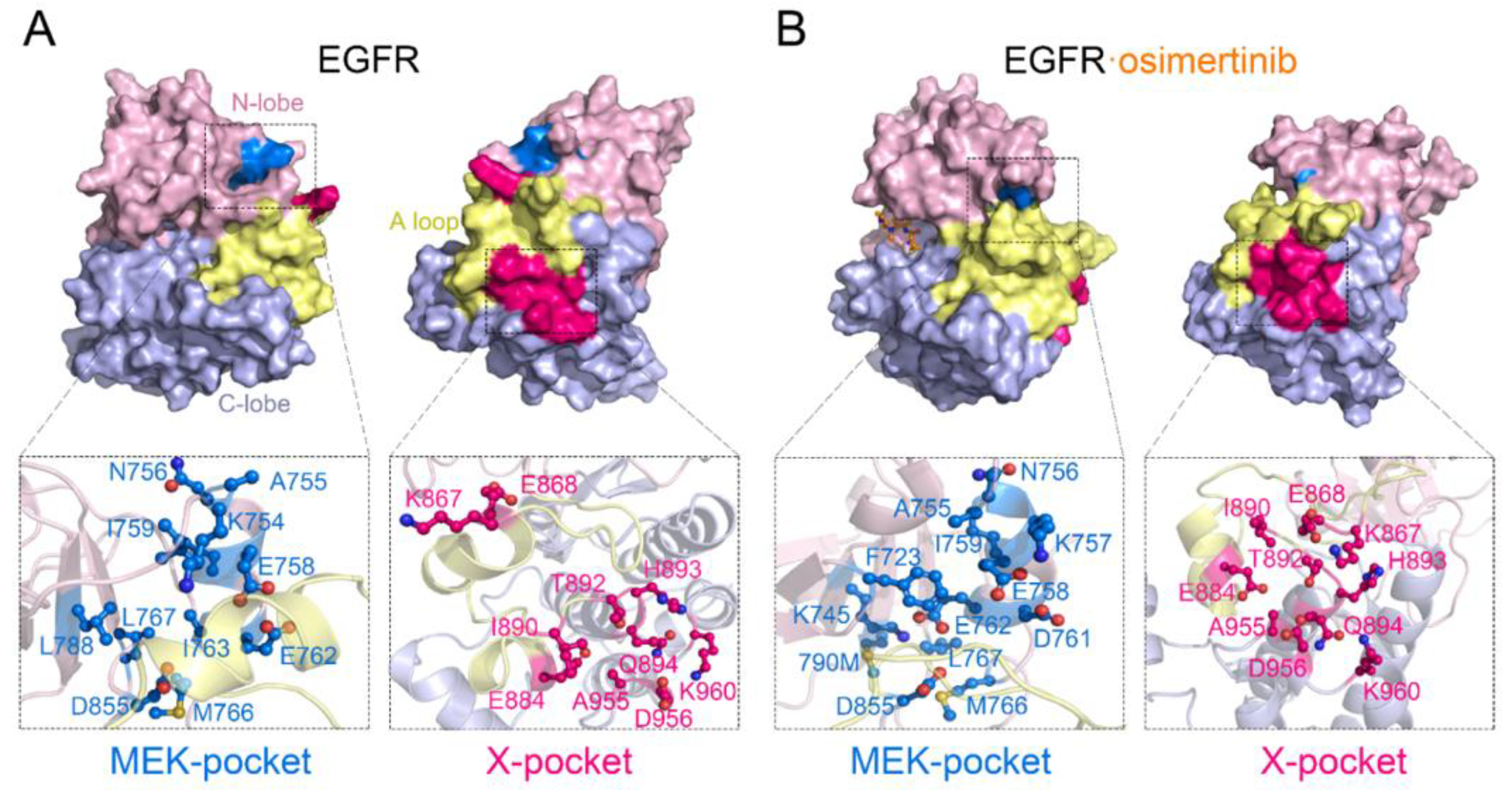 Pharmaceutics 13 00747 g008