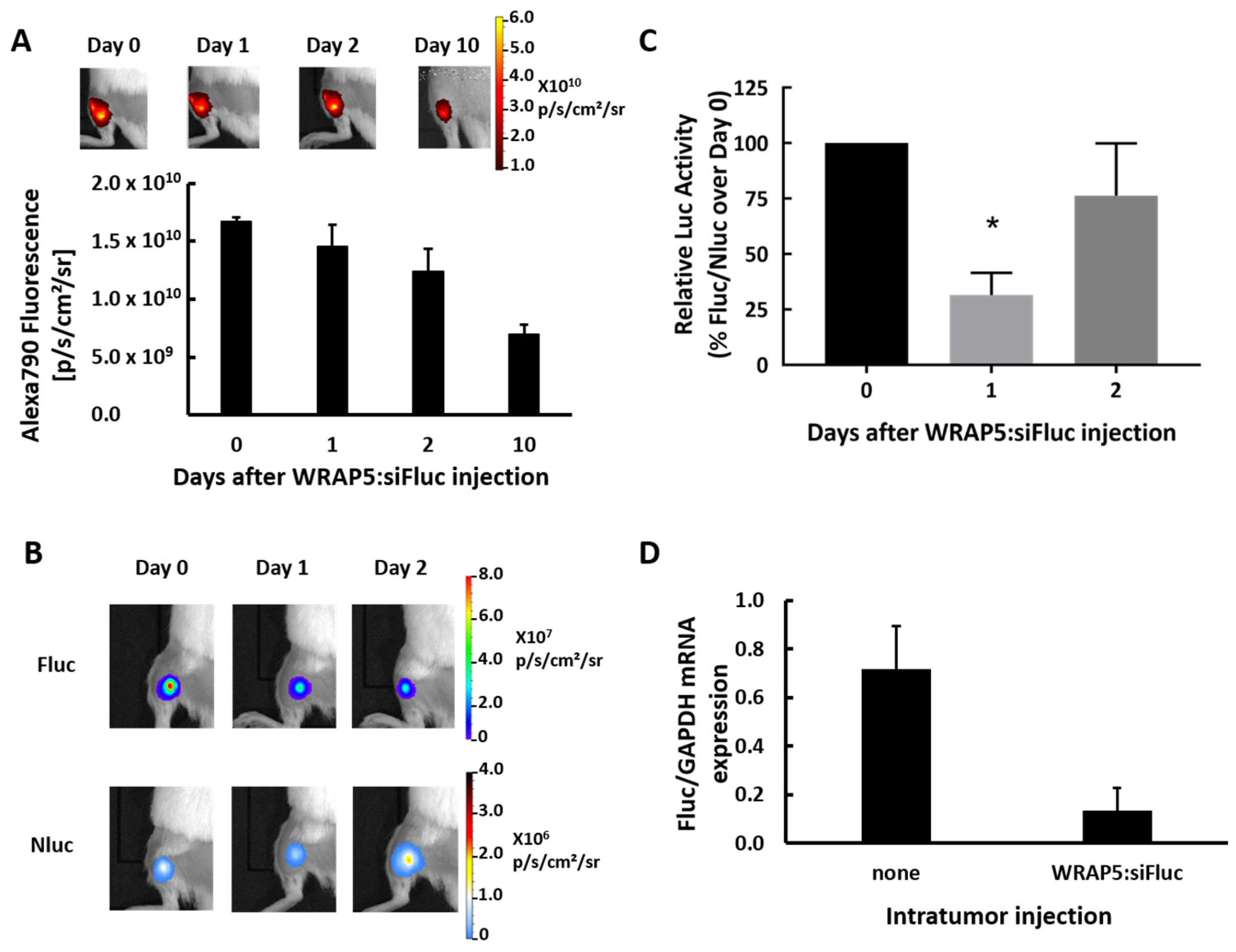 Pharmaceutics 13 00749 g002 Pharmaceutics 13 00749 g002
