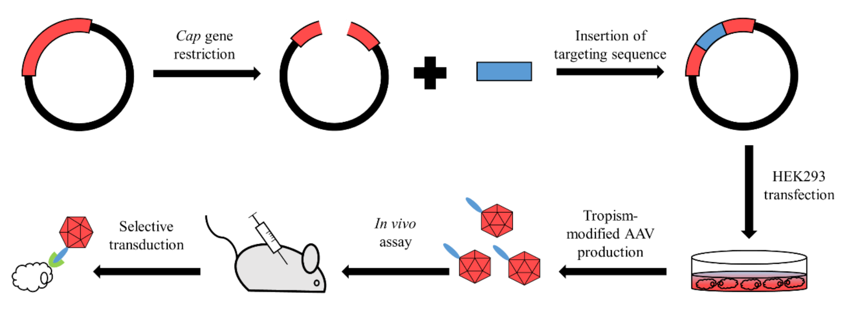 Pharmaceutics 13 00750 g002 Pharmaceutics 13 00750 g002