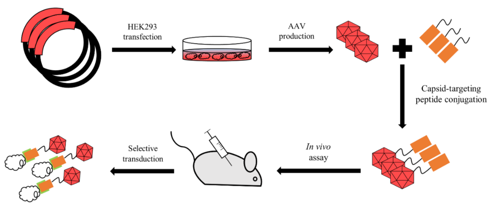 Pharmaceutics 13 00750 g004 Pharmaceutics 13 00750 g004