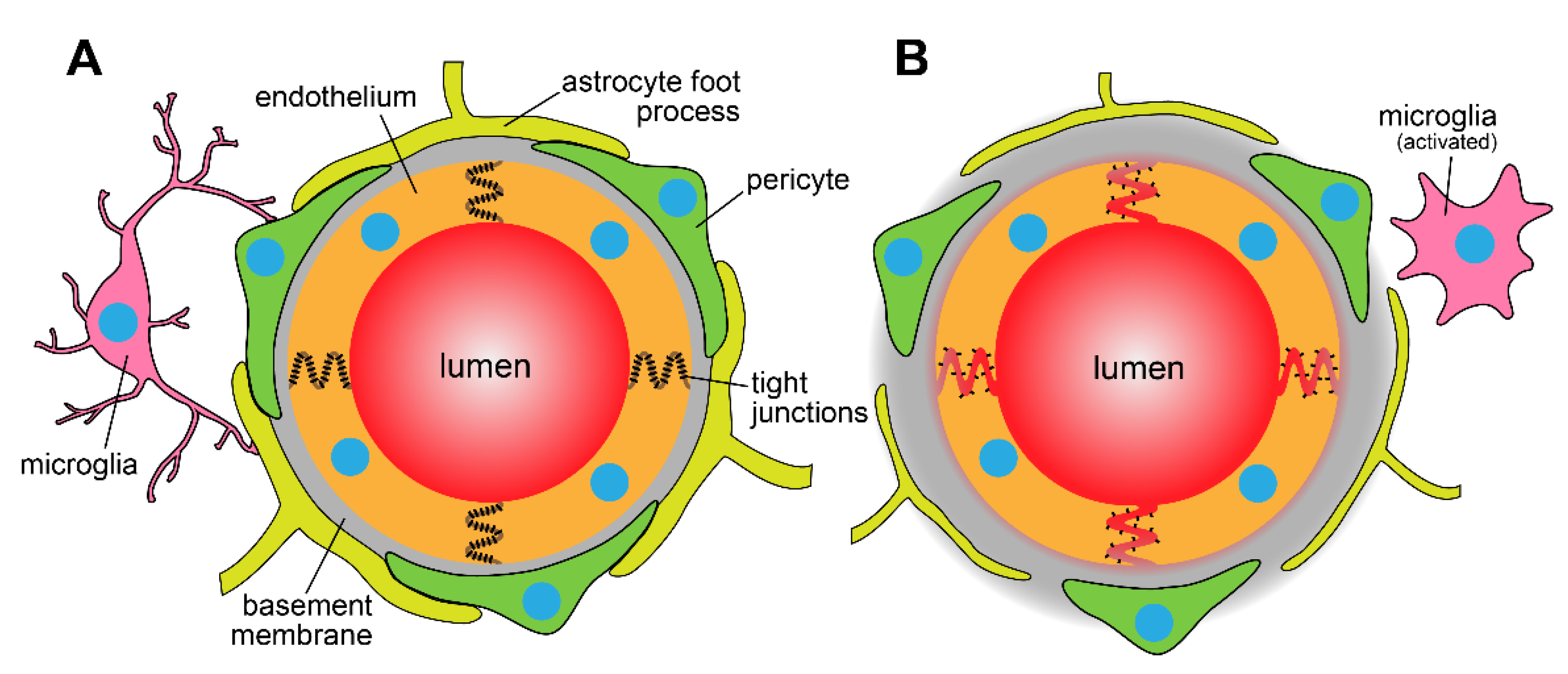 Pharmaceutics 13 00756 g001
