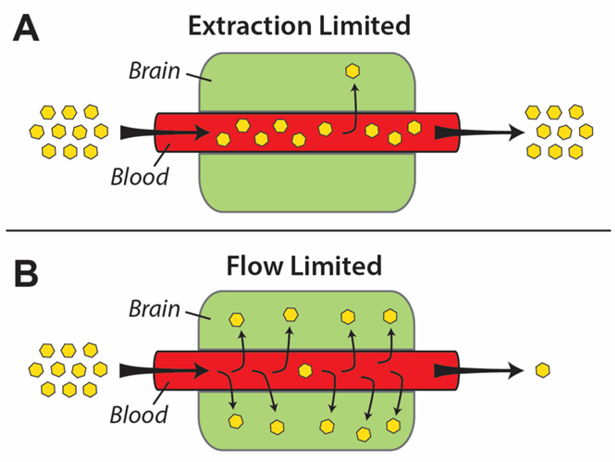 Pharmaceutics 13 00756 g003