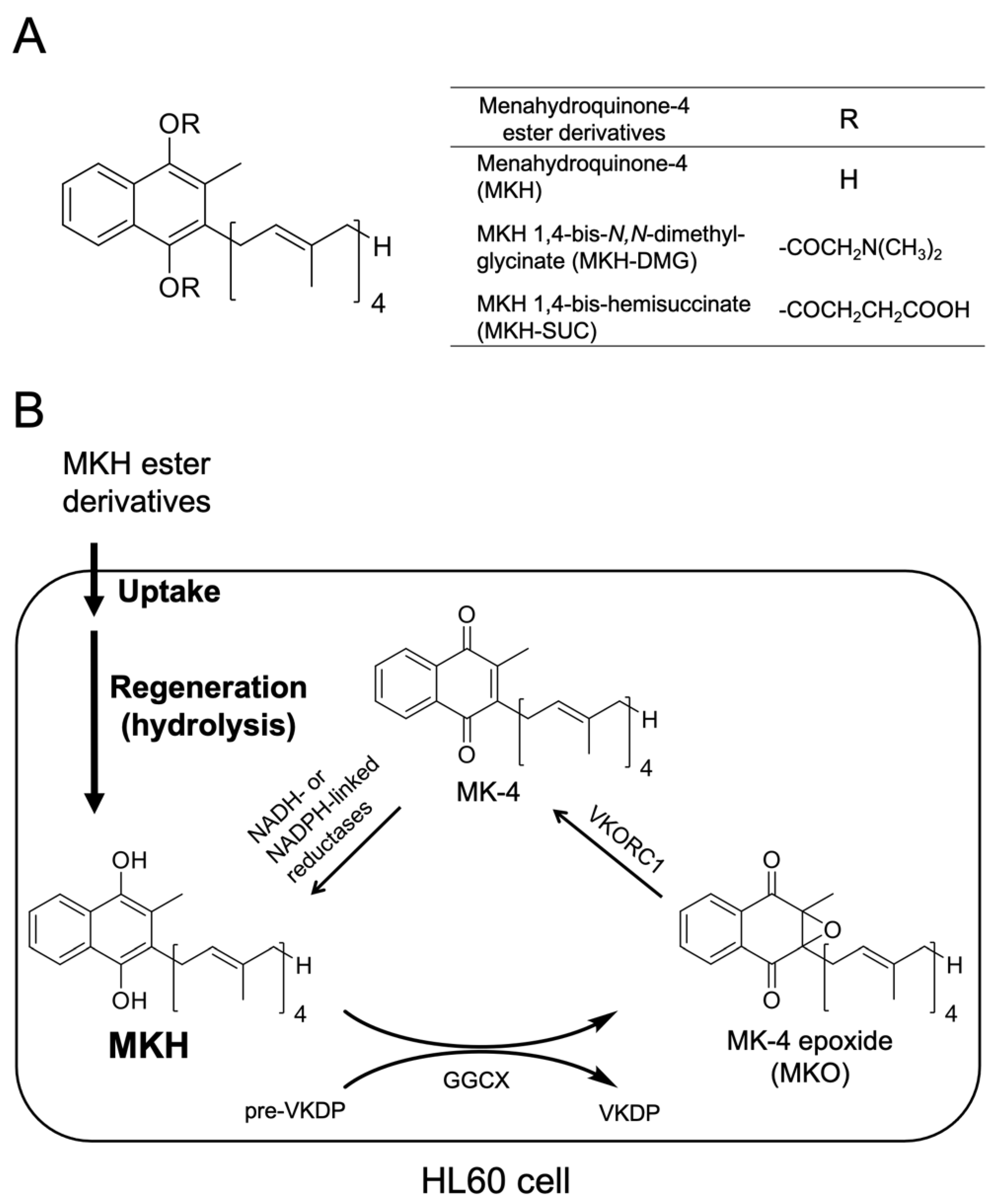 Pharmaceutics 13 00758 g001