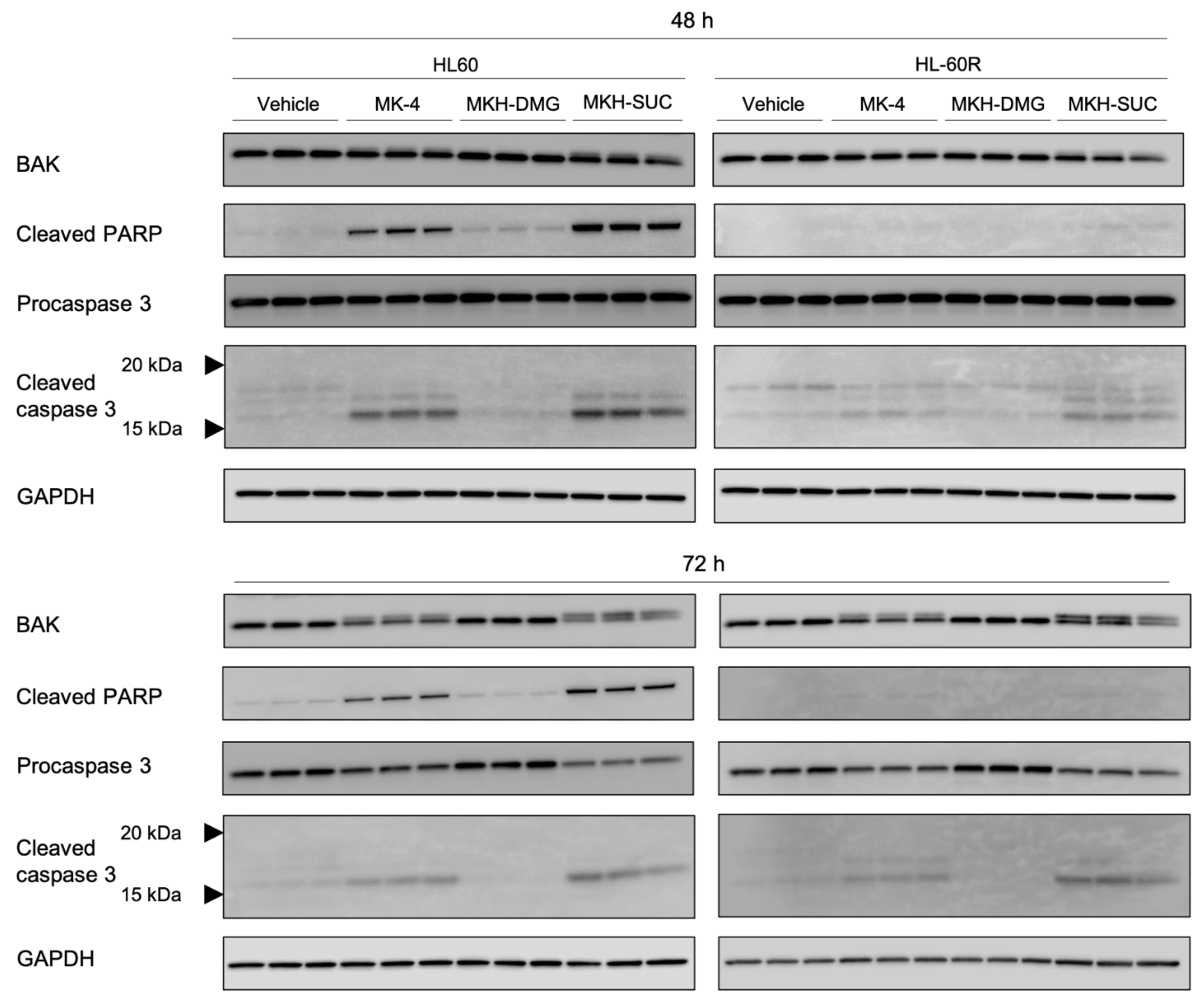 Pharmaceutics 13 00758 g009