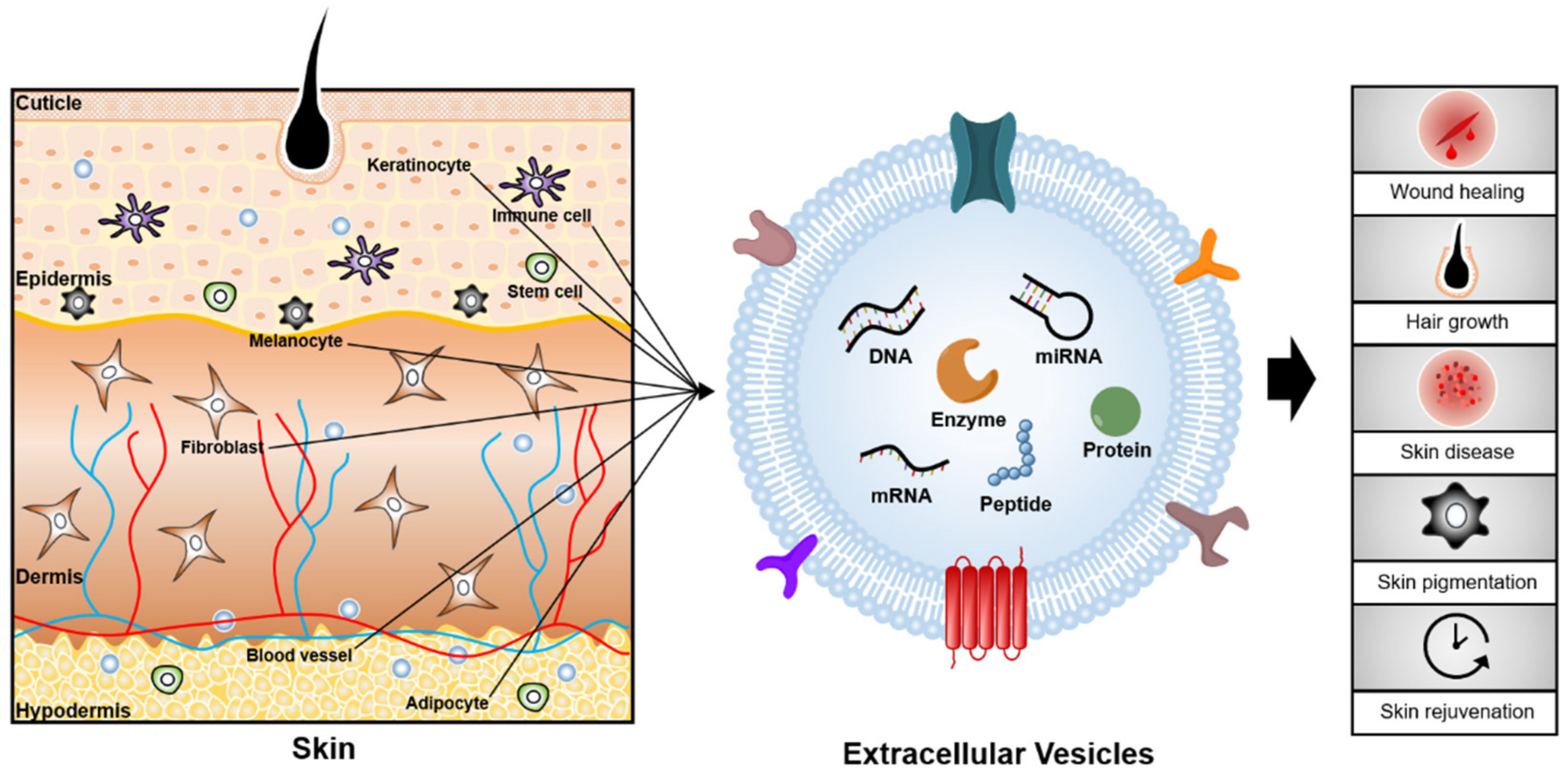 Pharmaceutics 13 00760 g001