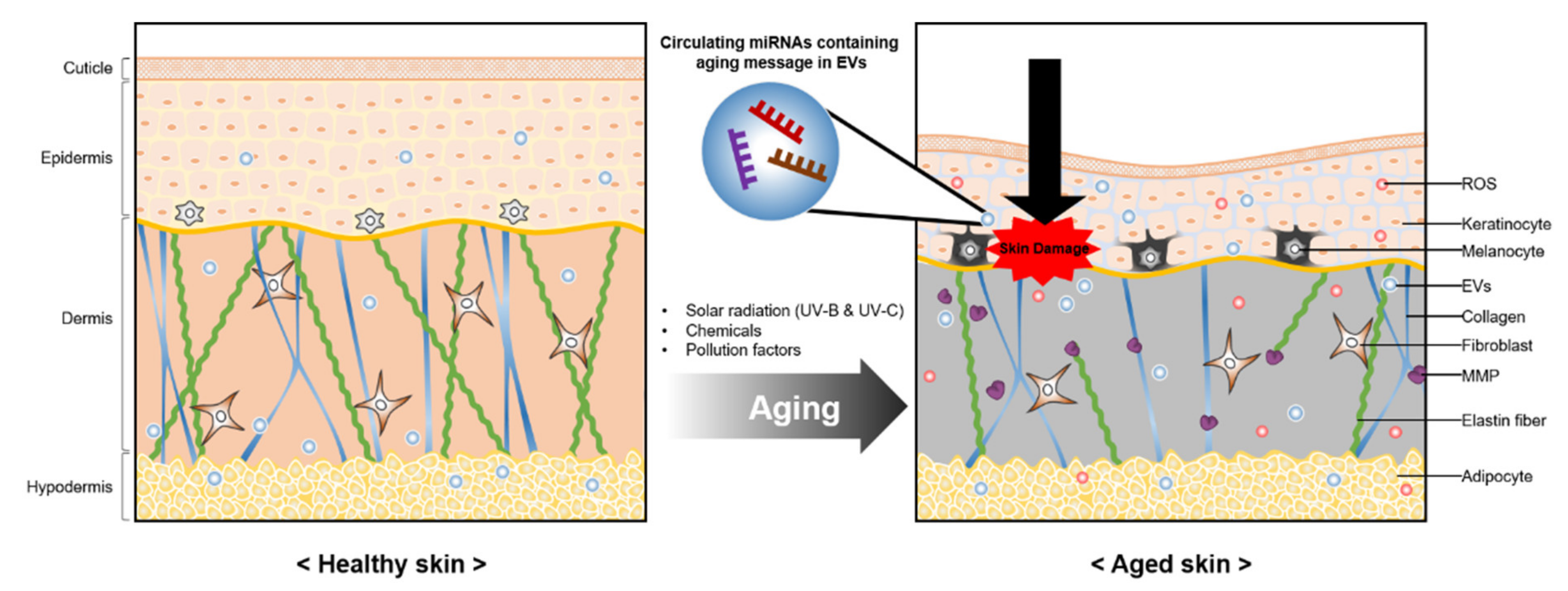 Pharmaceutics 13 00760 g002