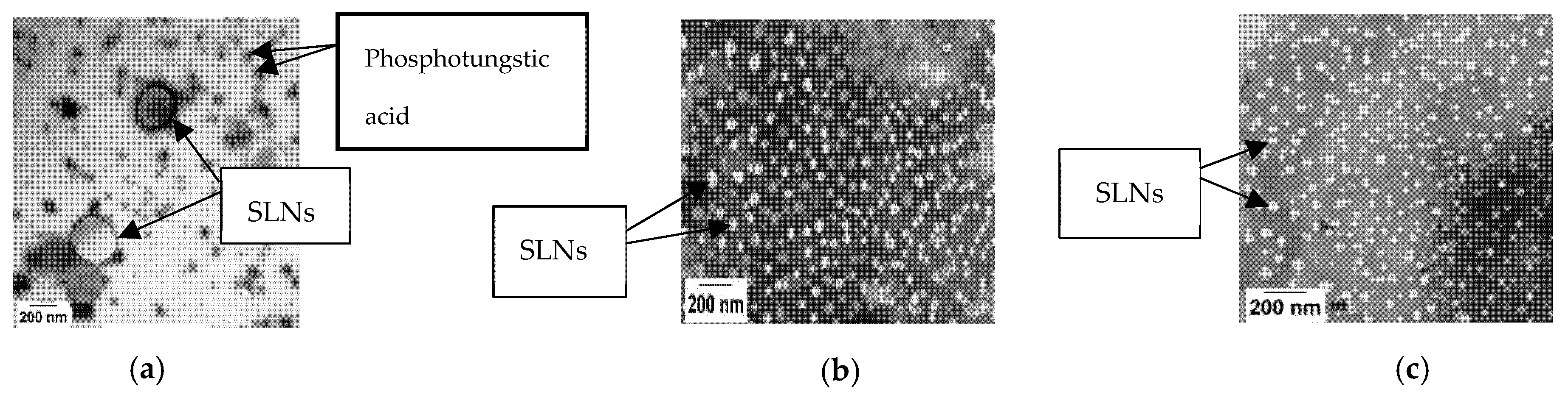 Pharmaceutics 13 00761 g001 Pharmaceutics 13 00761 g001