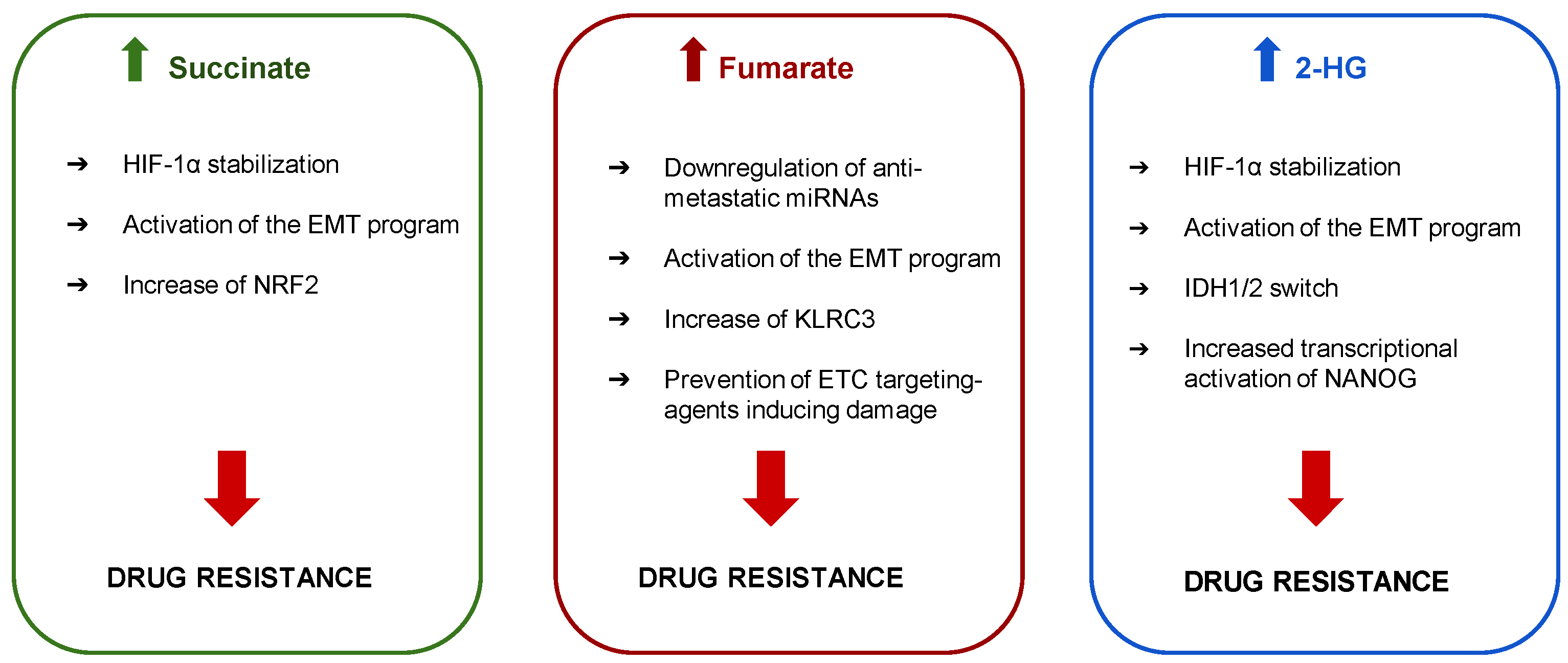 Pharmaceutics 13 00762 g002