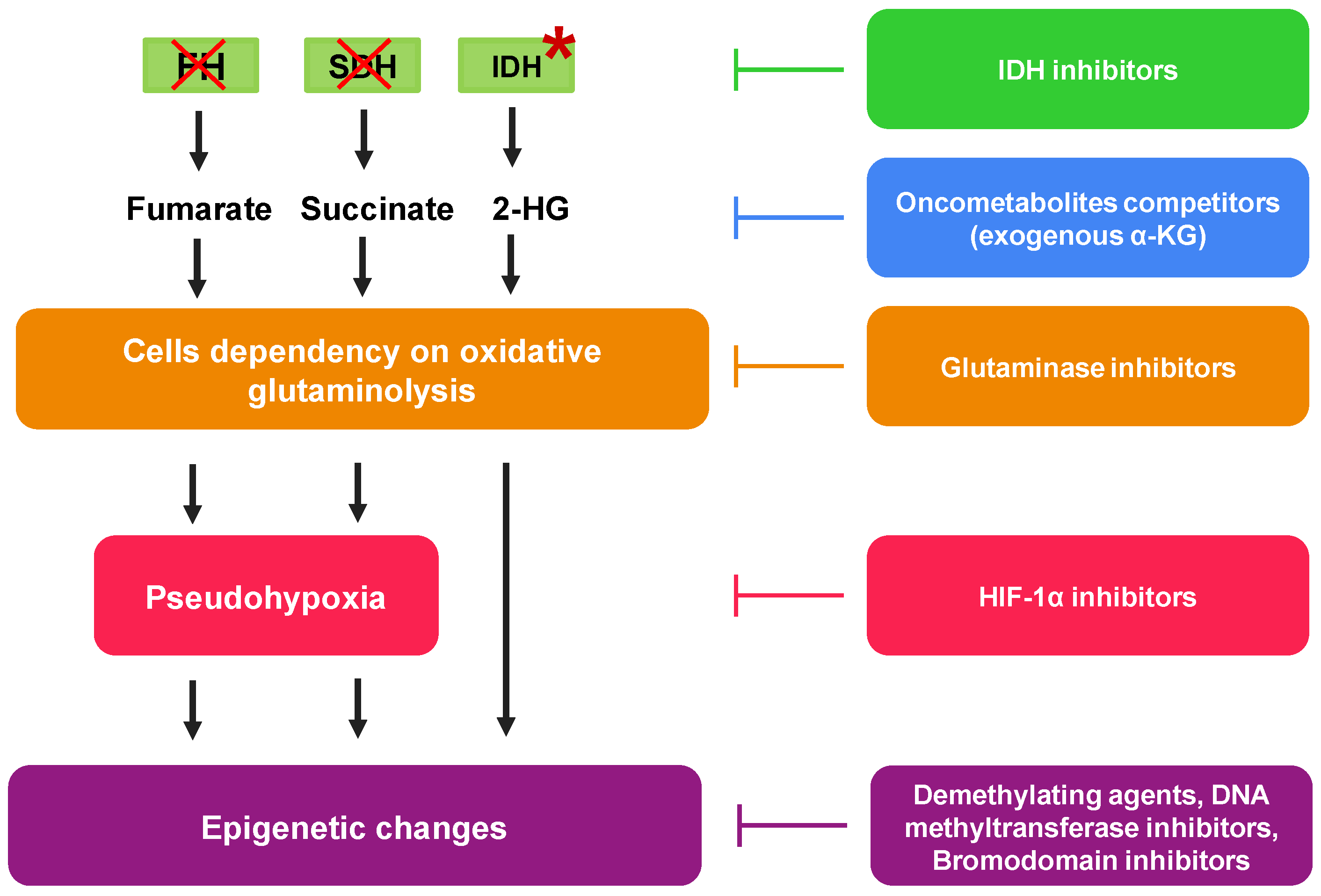 Pharmaceutics 13 00762 g003