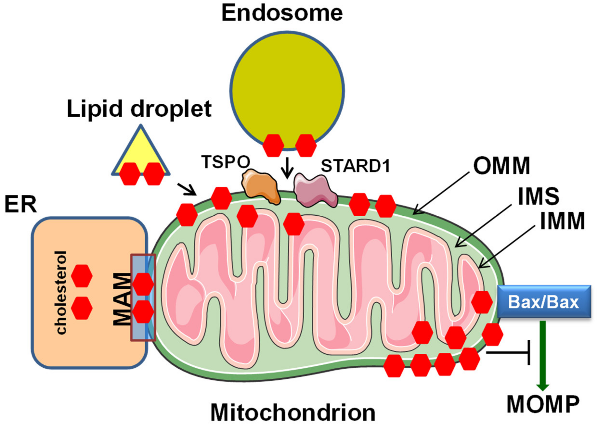 Pharmaceutics 13 00763 g005