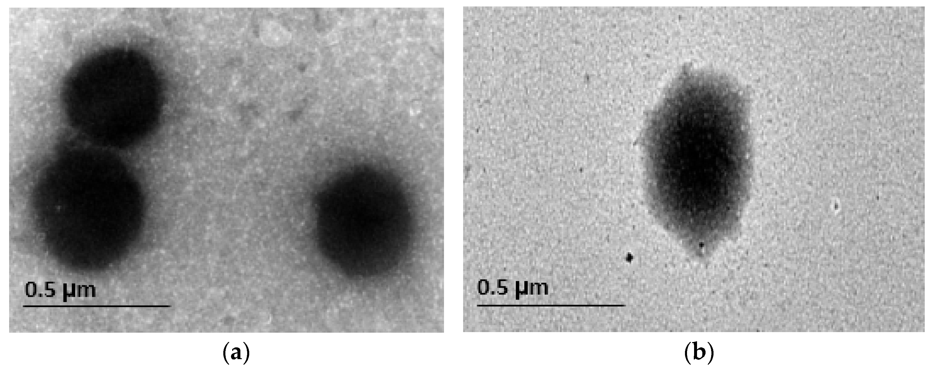 Pharmaceutics 13 00765 g003 Pharmaceutics 13 00765 g003