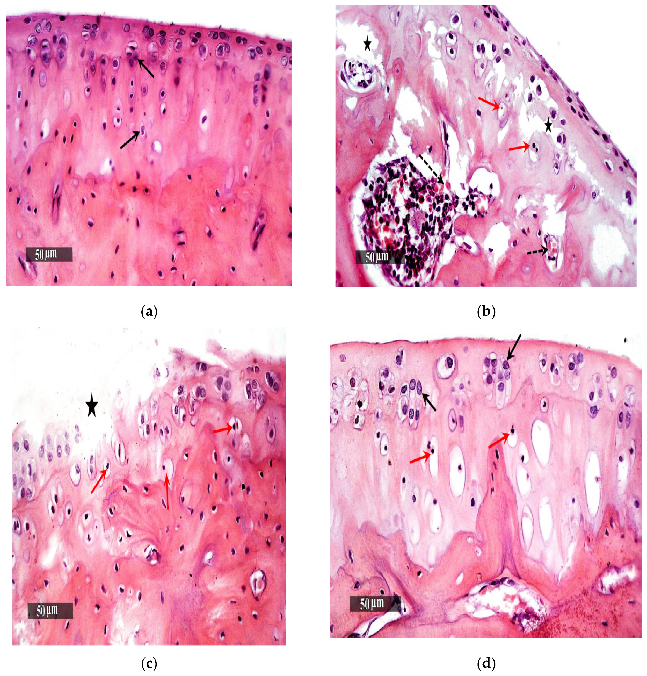 Pharmaceutics 13 00765 g008a Pharmaceutics 13 00765 g008a