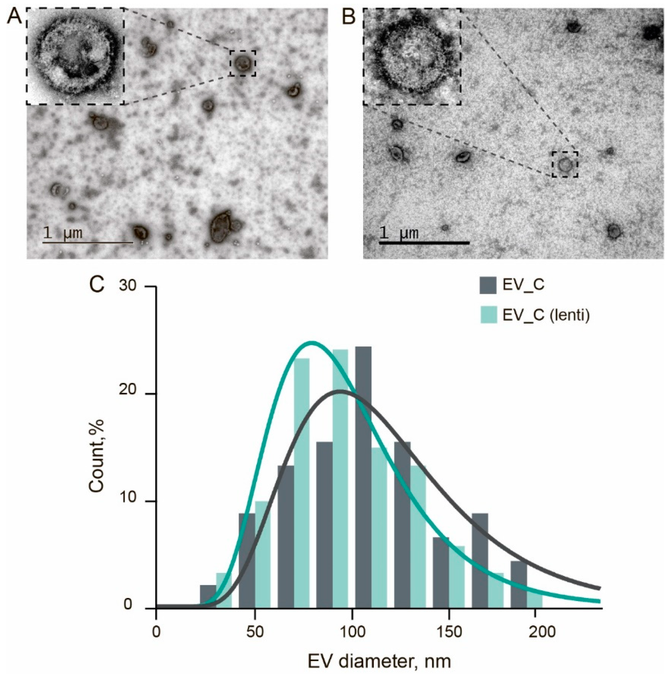 Pharmaceutics 13 00768 g005