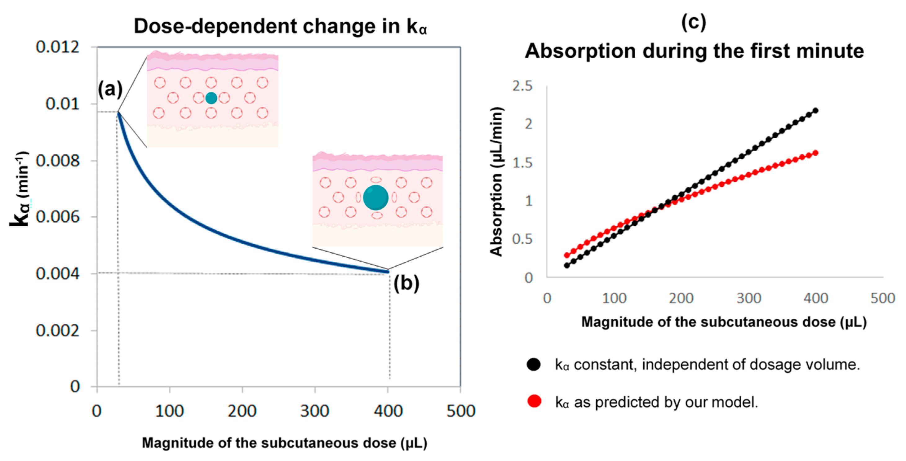 Pharmaceutics 13 00769 g008 Pharmaceutics 13 00769 g008