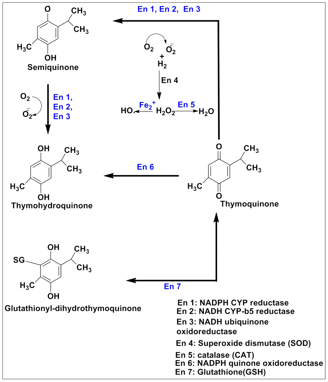 Pharmaceutics 13 00775 g002