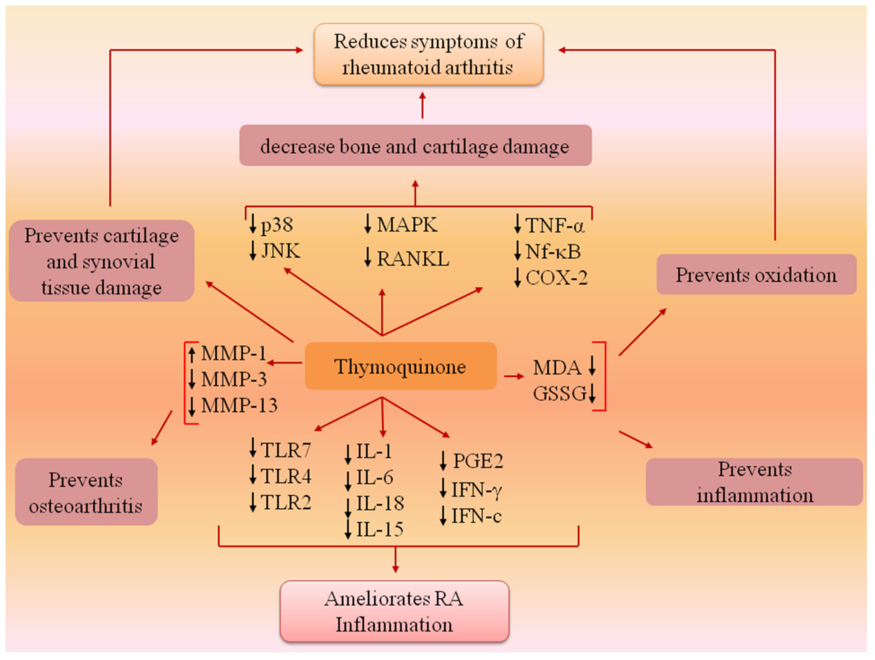 Pharmaceutics 13 00775 g003